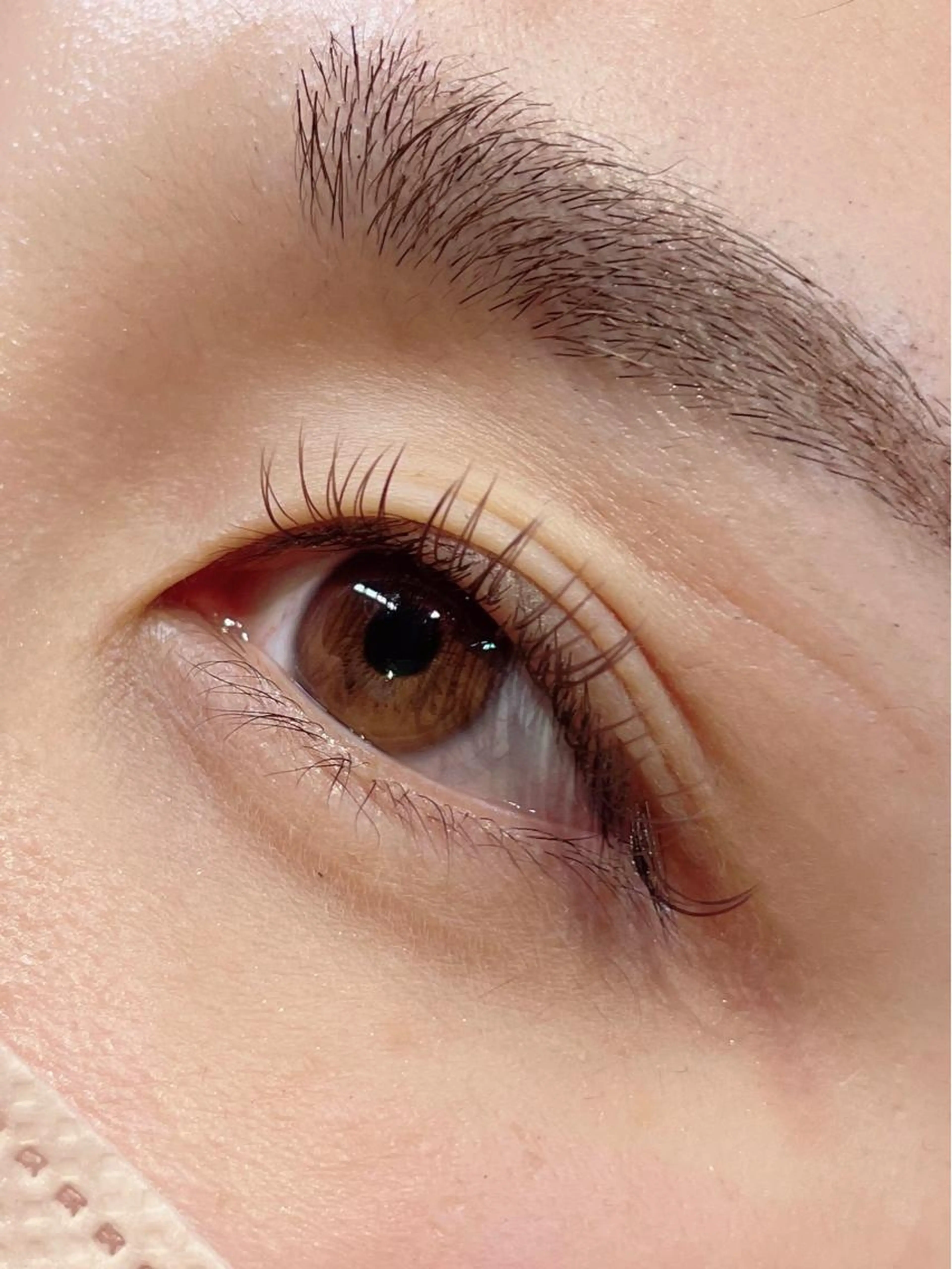 フラットラッシュ　カラー100本の写真