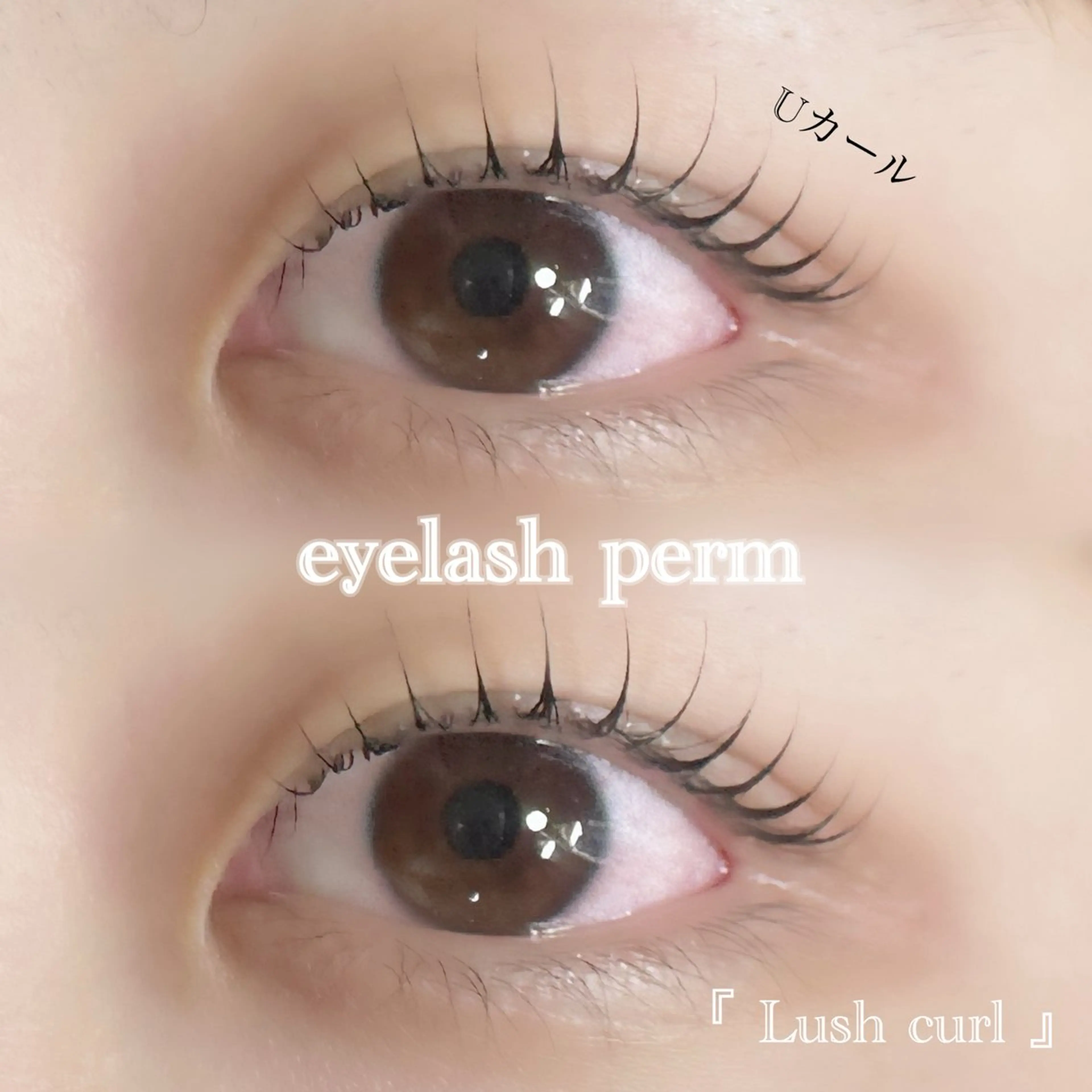 マツエク・マツパ マツパ マリーテレジア 🪽BANNOのマツエク・マツパデザイン