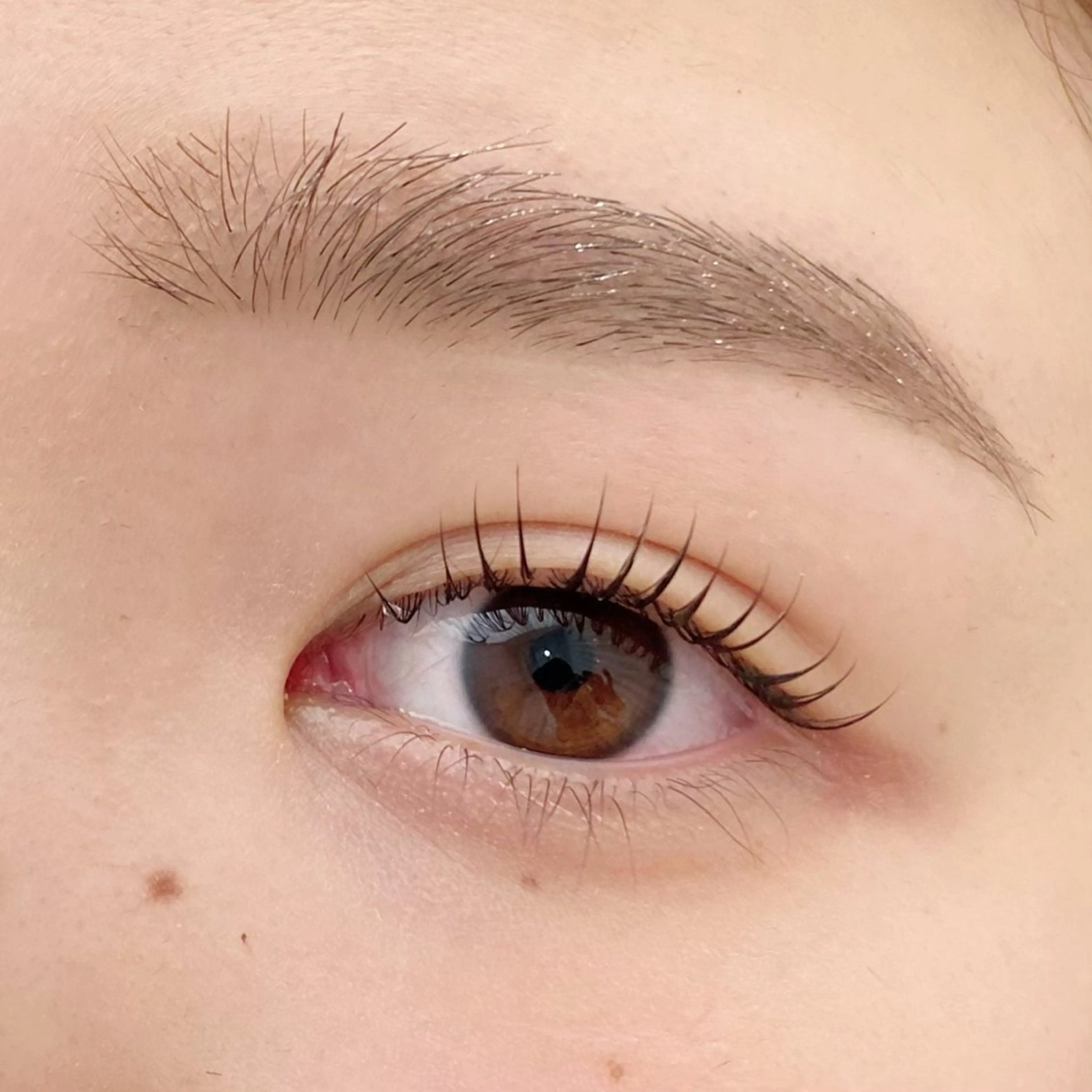 🫧SATOMI 草加駅5分メンズ眉毛の眉毛・アイブロウイメージ