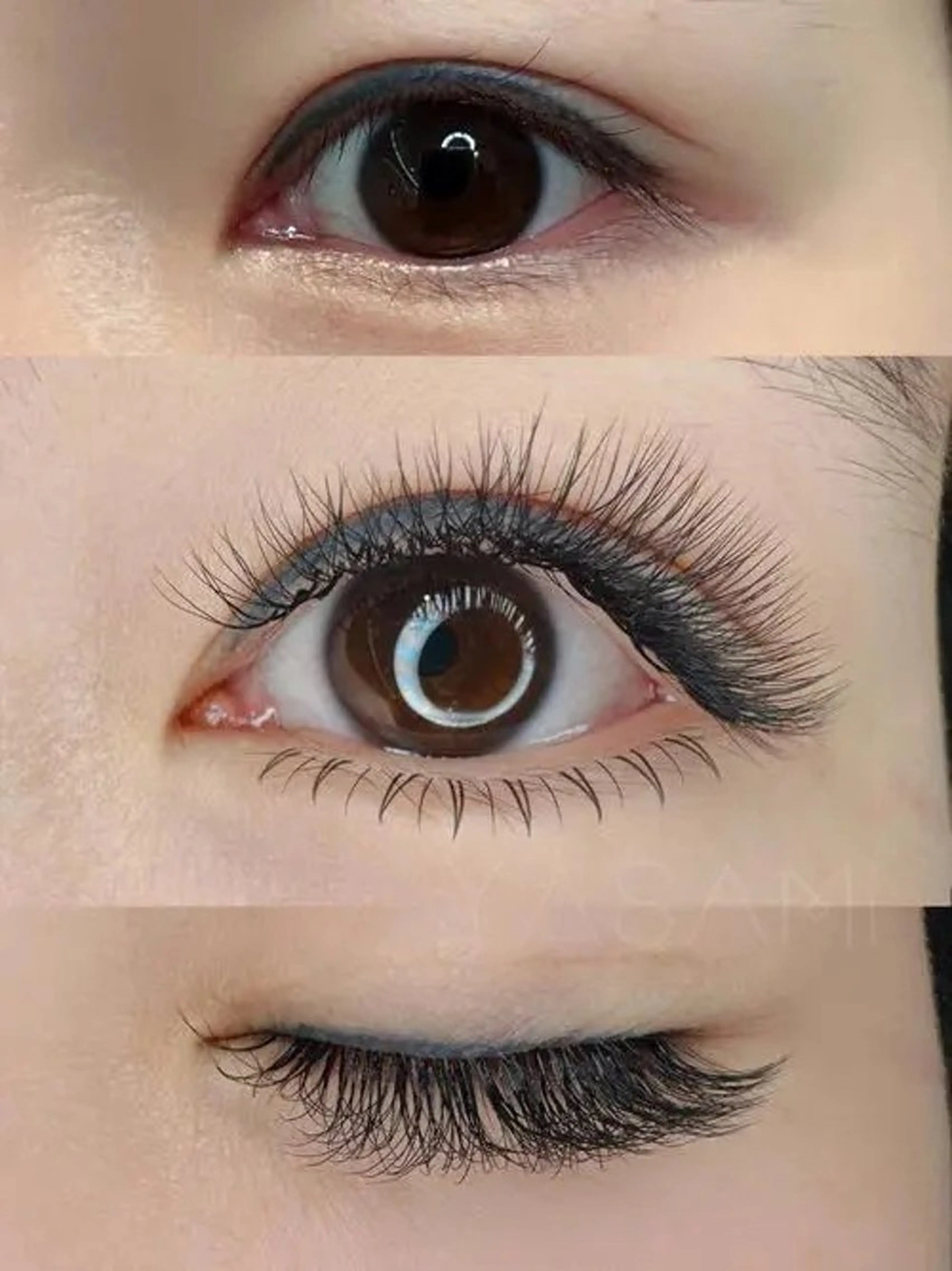 マツエク・マツパ 付け放題 フラットラッシュ マツエク 羽賀 美和のマツエク・マツパデザイン