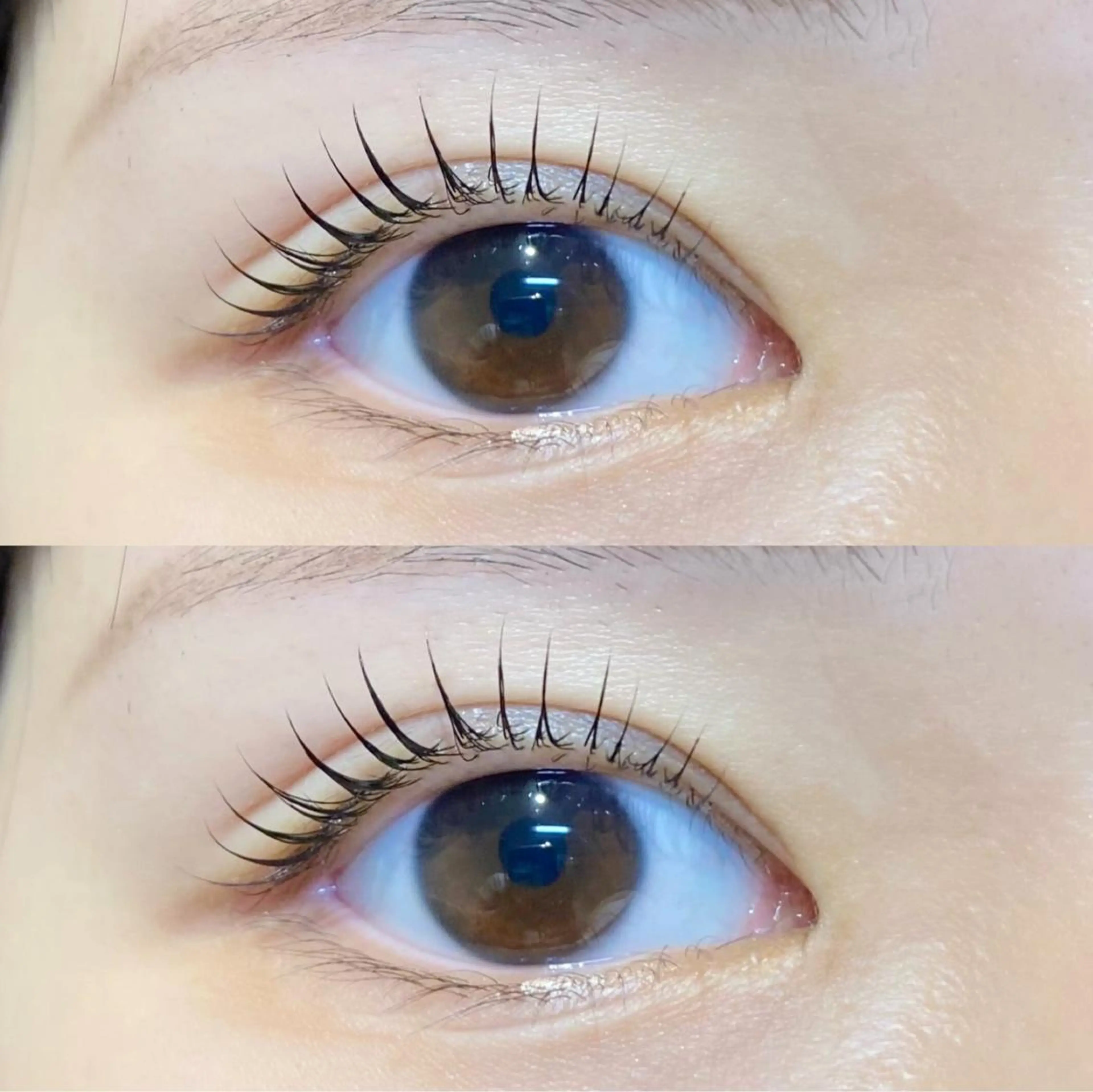 ショート カラー ネイル マツエク・マツパ アイブロウ GO TODAY SHAiRE SALON 新宿Ciel店所属・似合わせまつ毛🫧 さくら🌸のマツエク・マツパデザイン