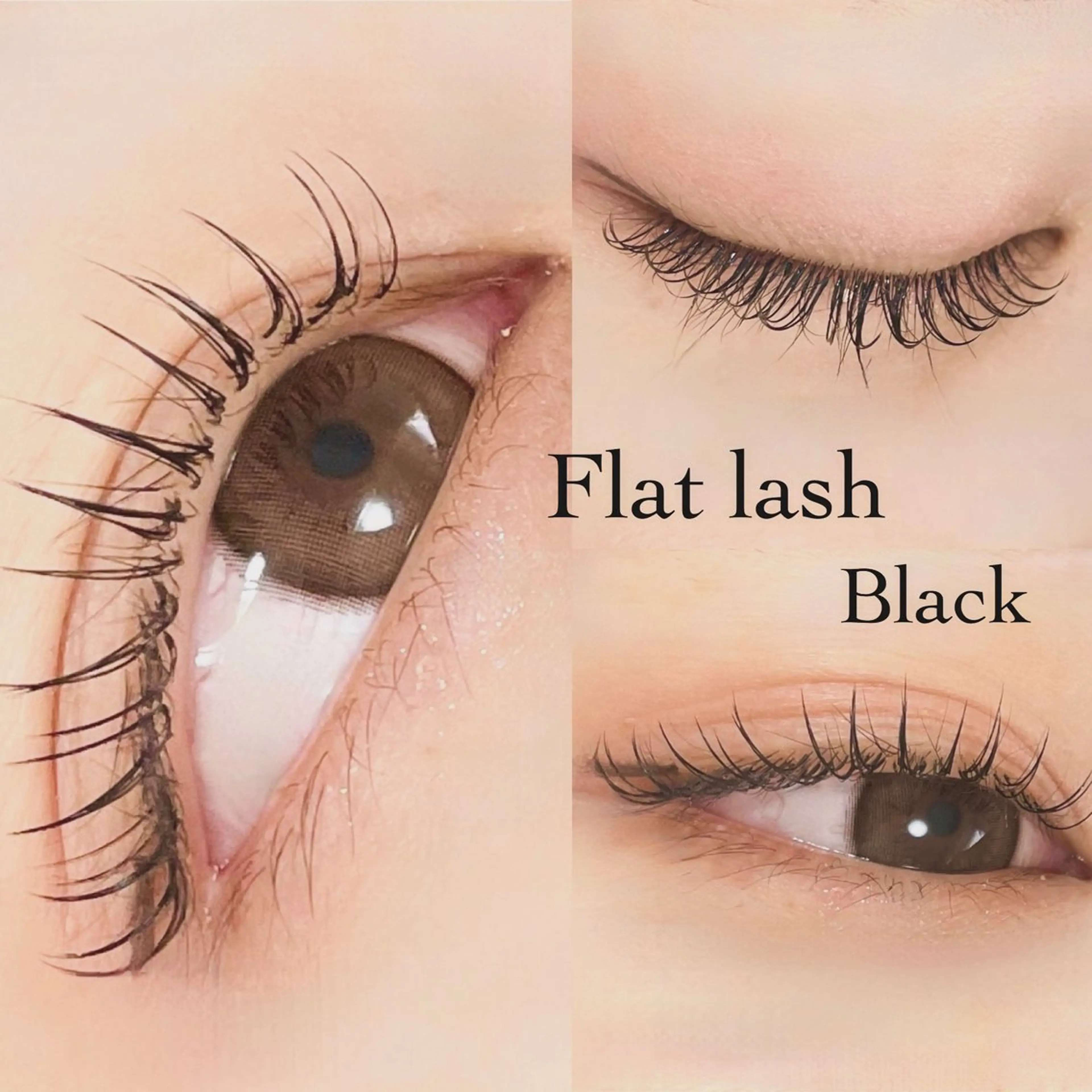 オフ込🌷フラットラッシュ100本5500円※ご新規様限定の写真