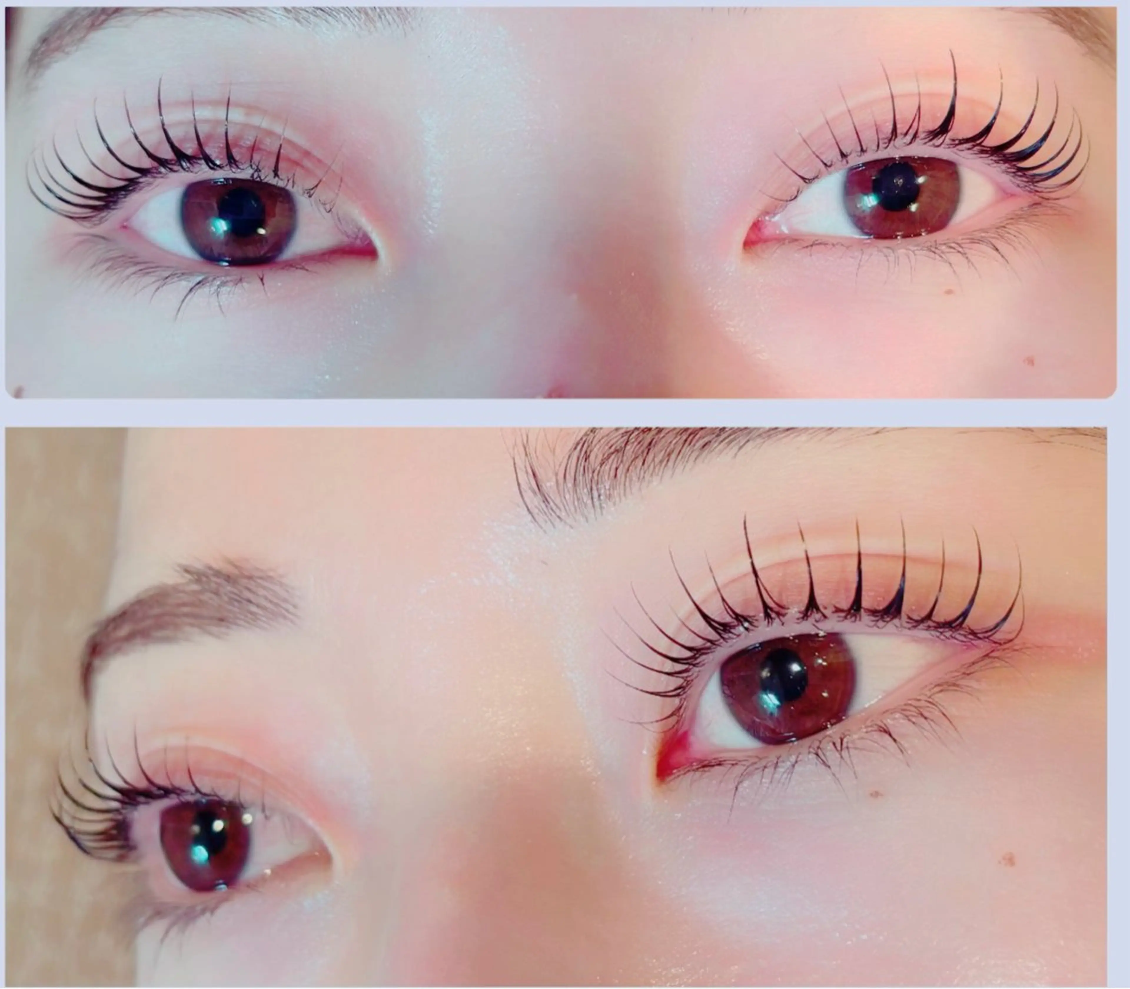 初回限定/eyelashまつげパーマ(コーティング付)¥4,950→¥4,650の写真