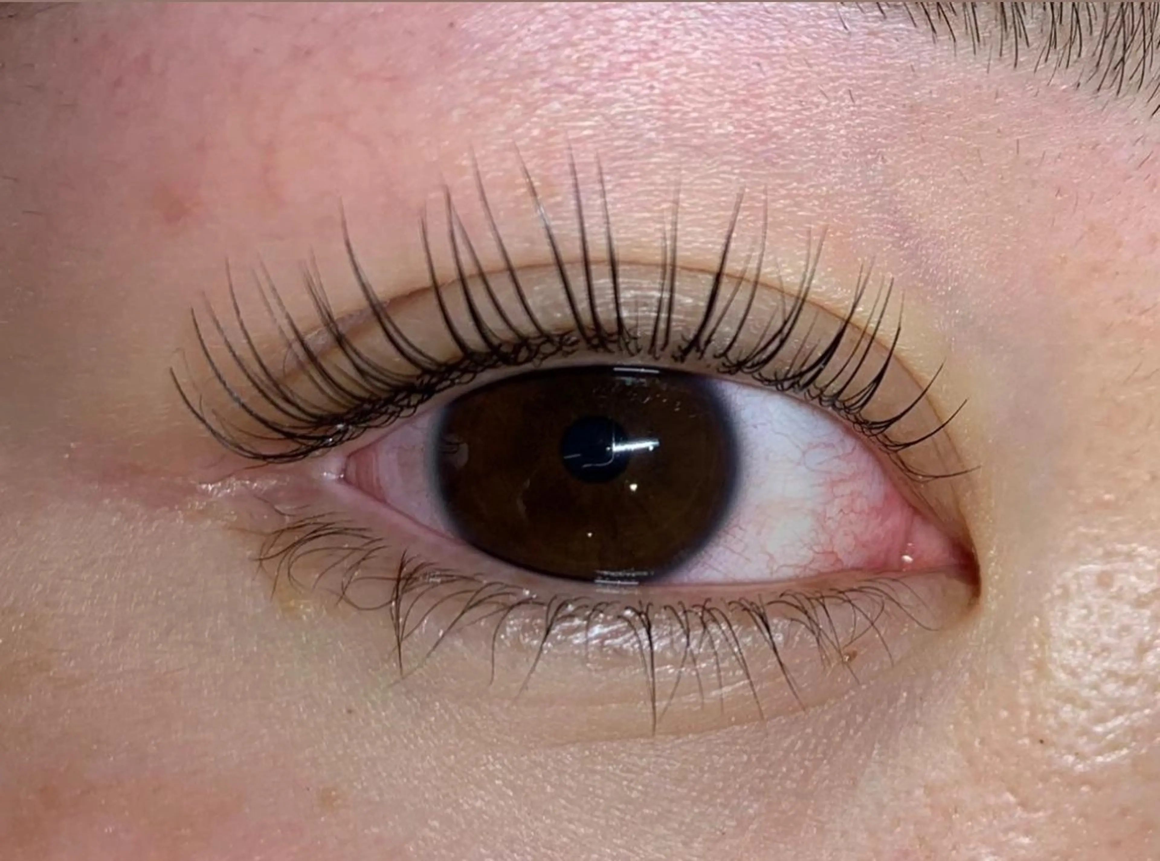 マツエク・マツパ マツパ Anela 🦋HARUMIの眉毛・アイブロウイメージ