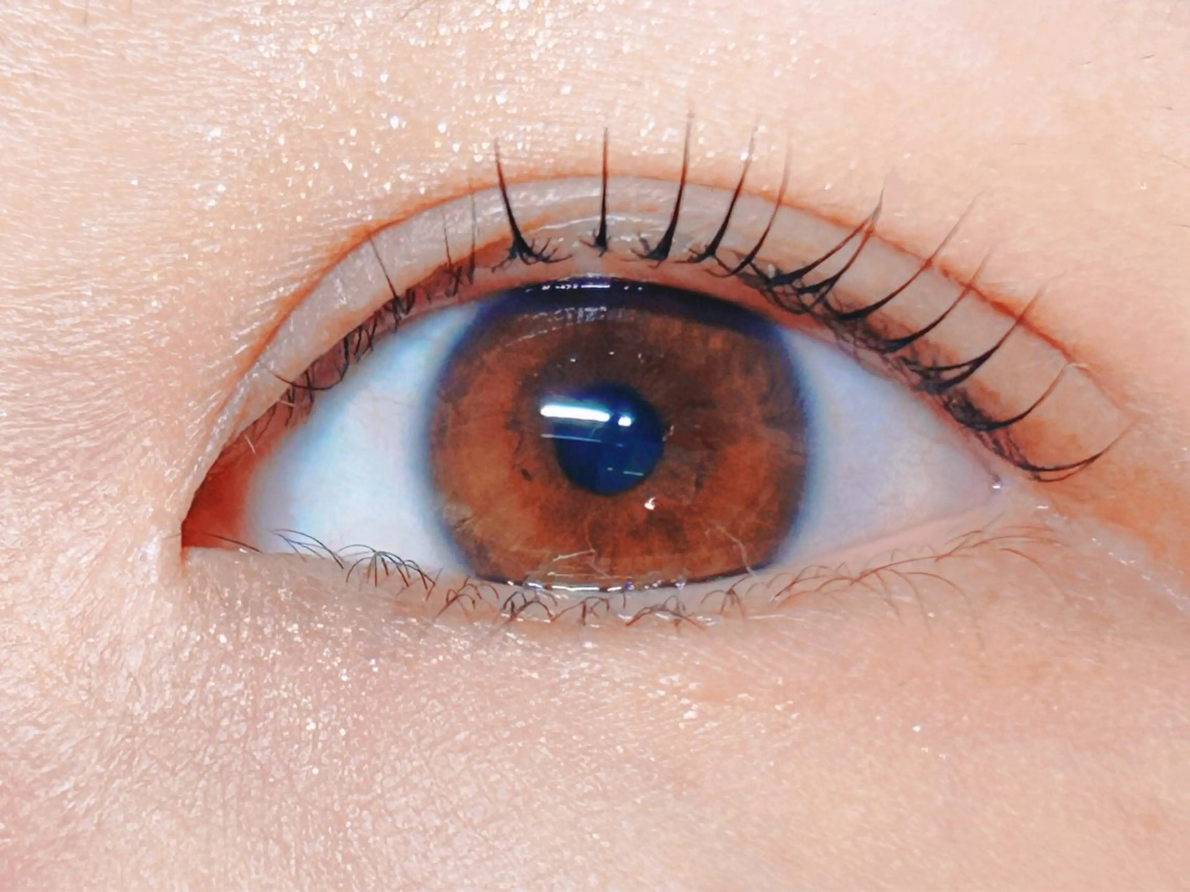 マツエク・マツパ Melia Chieのマツエク・マツパデザイン