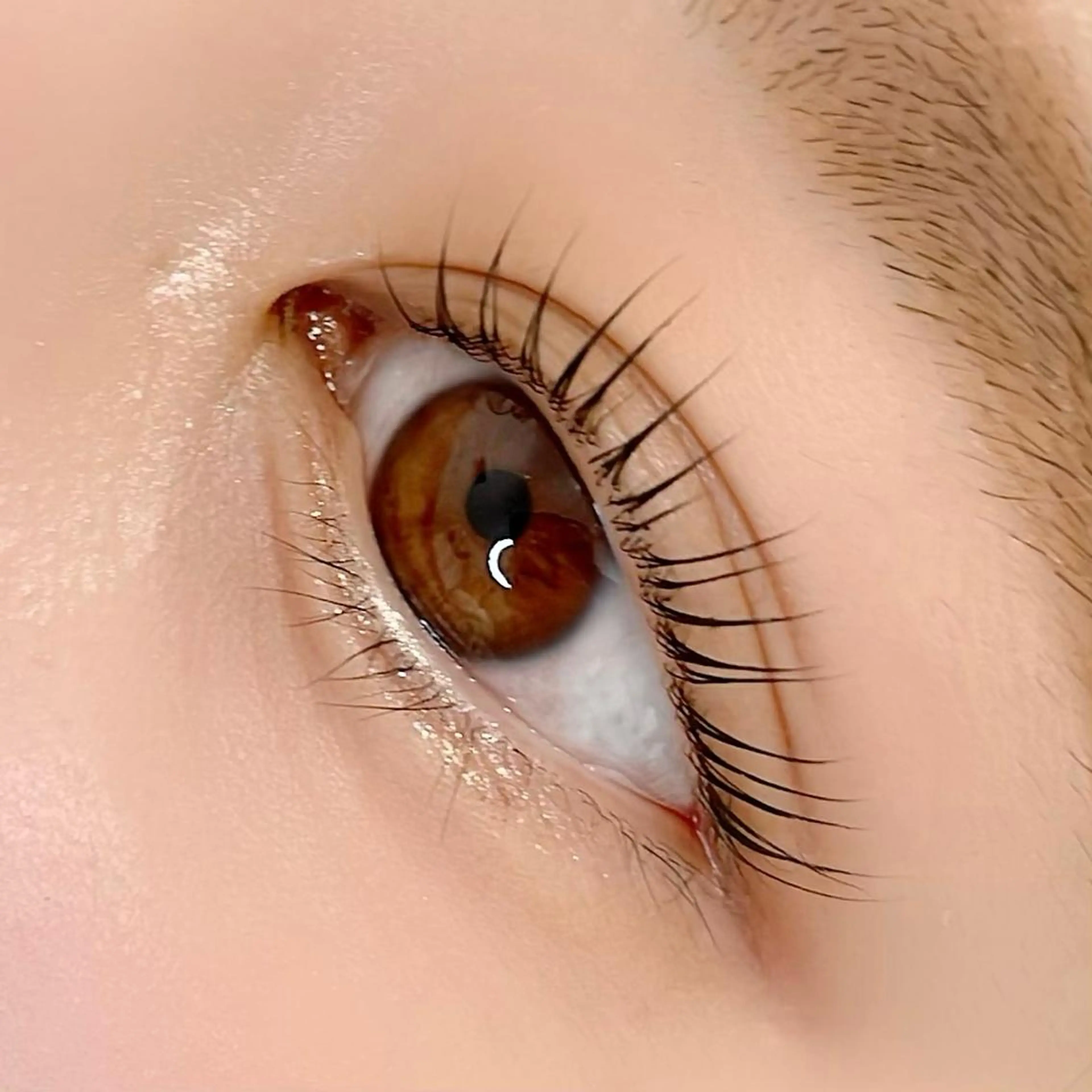 マツエク・マツパ RuRu所属・無料サロンモデル募集 RuRu🧸🌙のマツエク・マツパデザイン