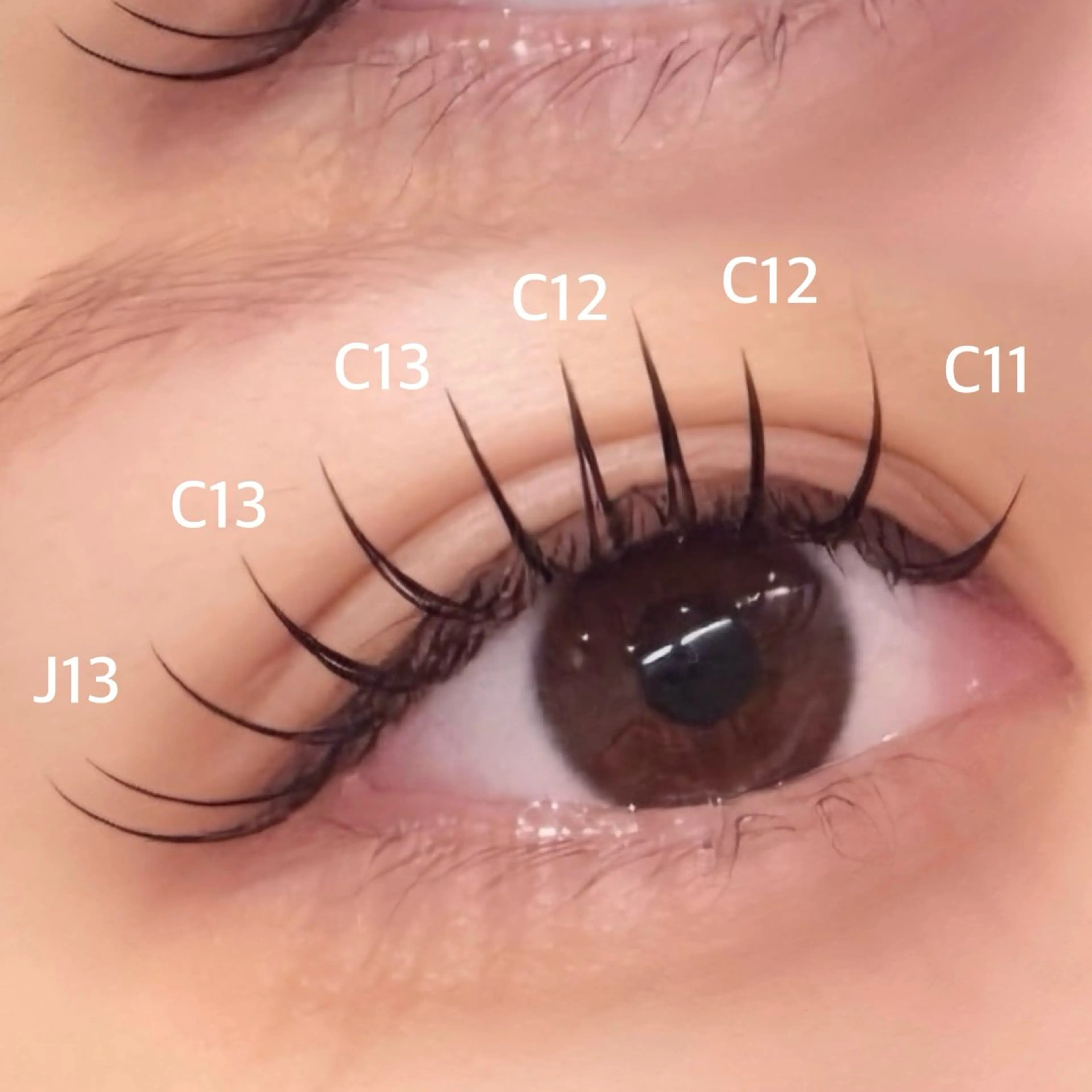 マツエク・マツパ フラットラッシュ DL・BEAUTY 🩶RISEのマツエク・マツパデザイン