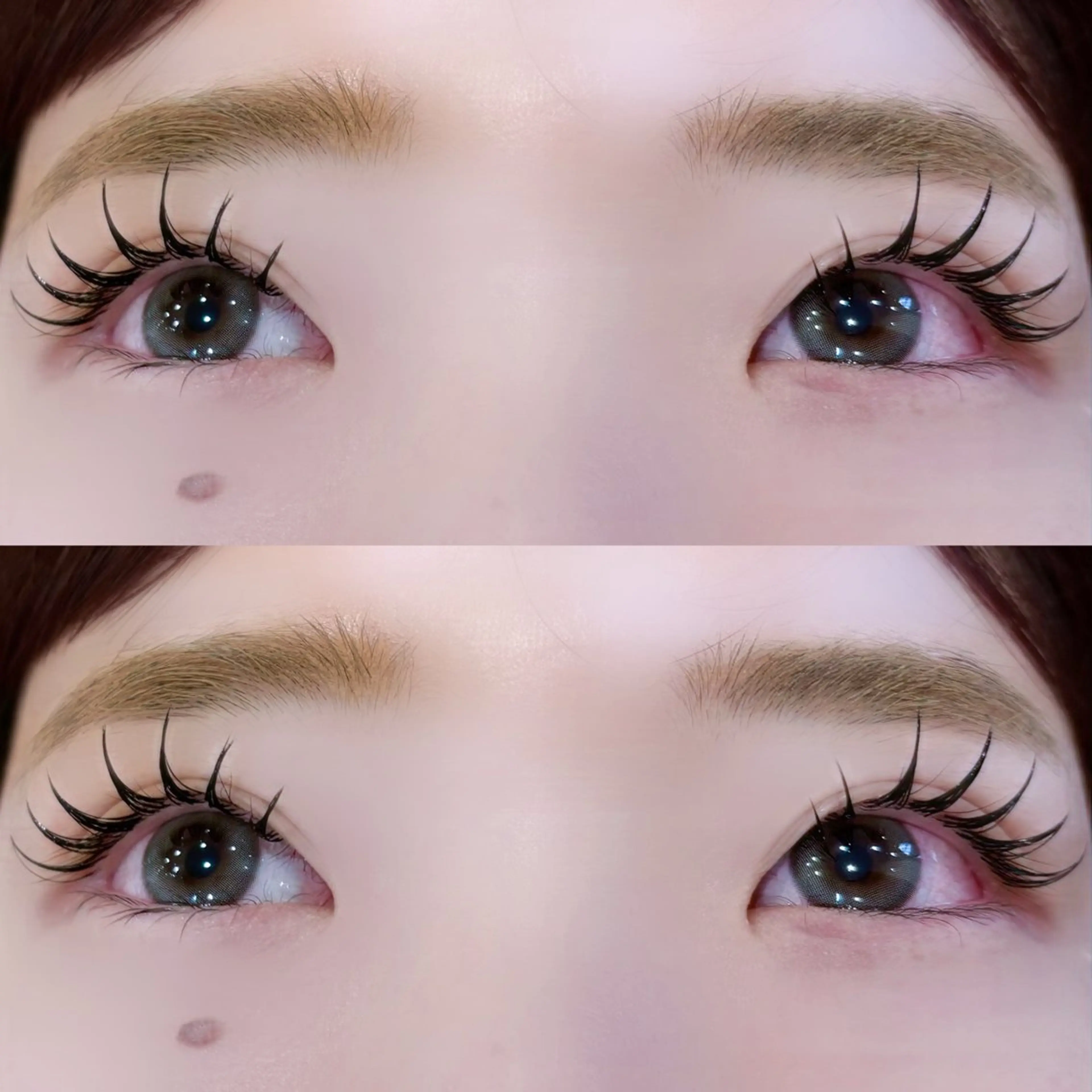 マツエク・マツパ Cカール フラットラッシュ マツエク Eye ELSA lash🤍東のマツエク・マツパデザイン