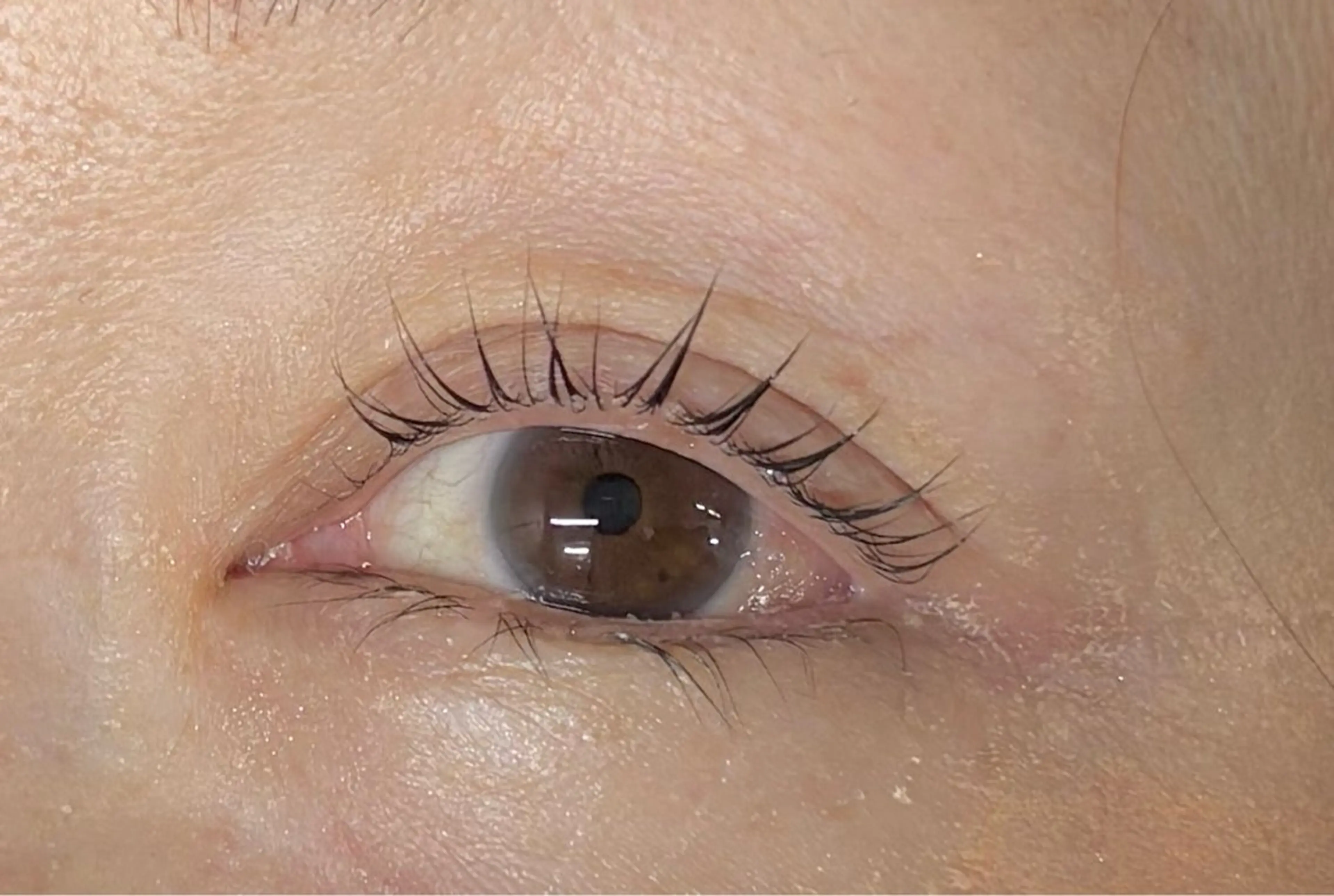 マツエク・マツパ Holus Moriguchiのマツエク・マツパデザイン