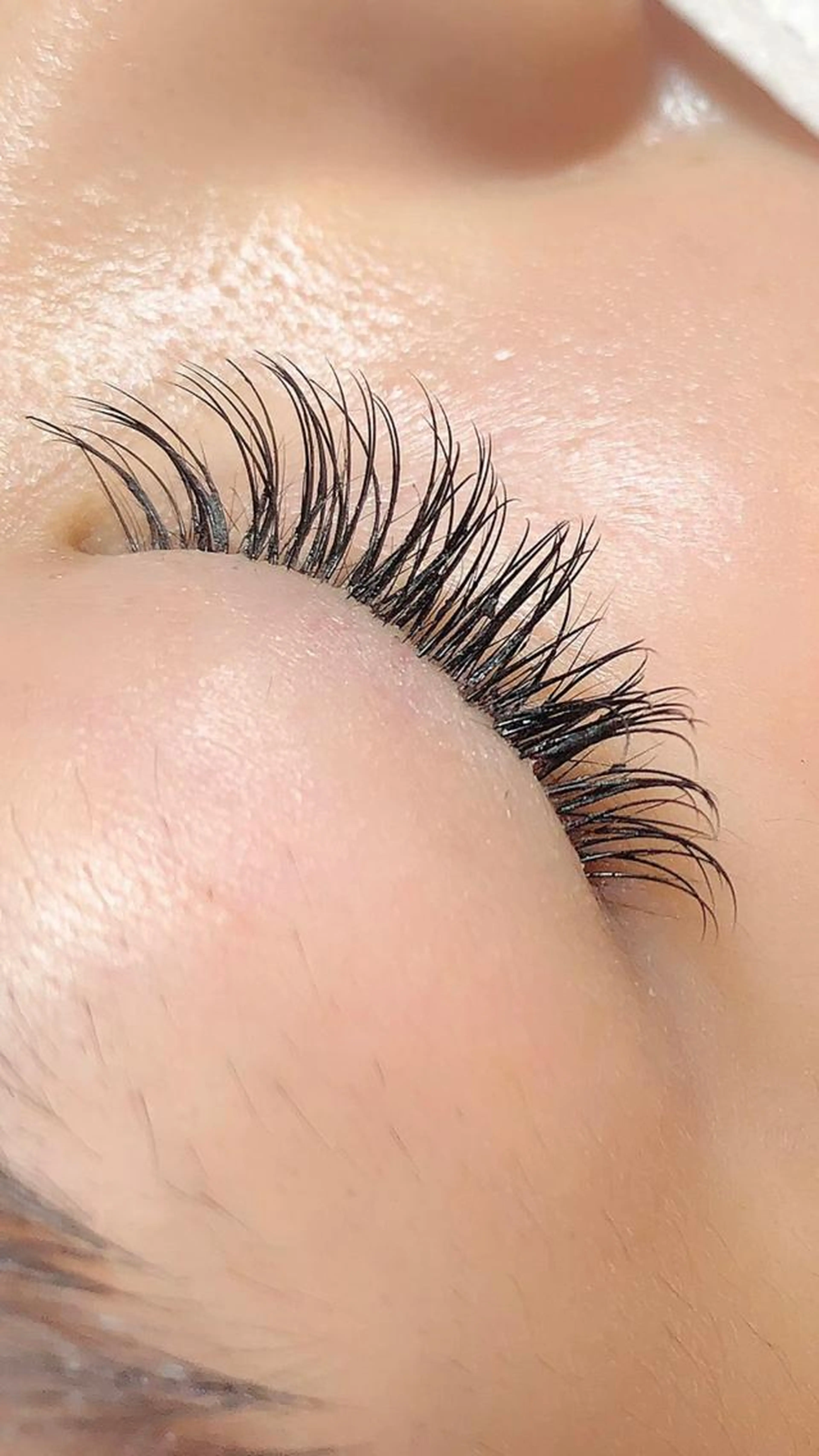 フラットラッシュ　80本　《オフ無し》の写真