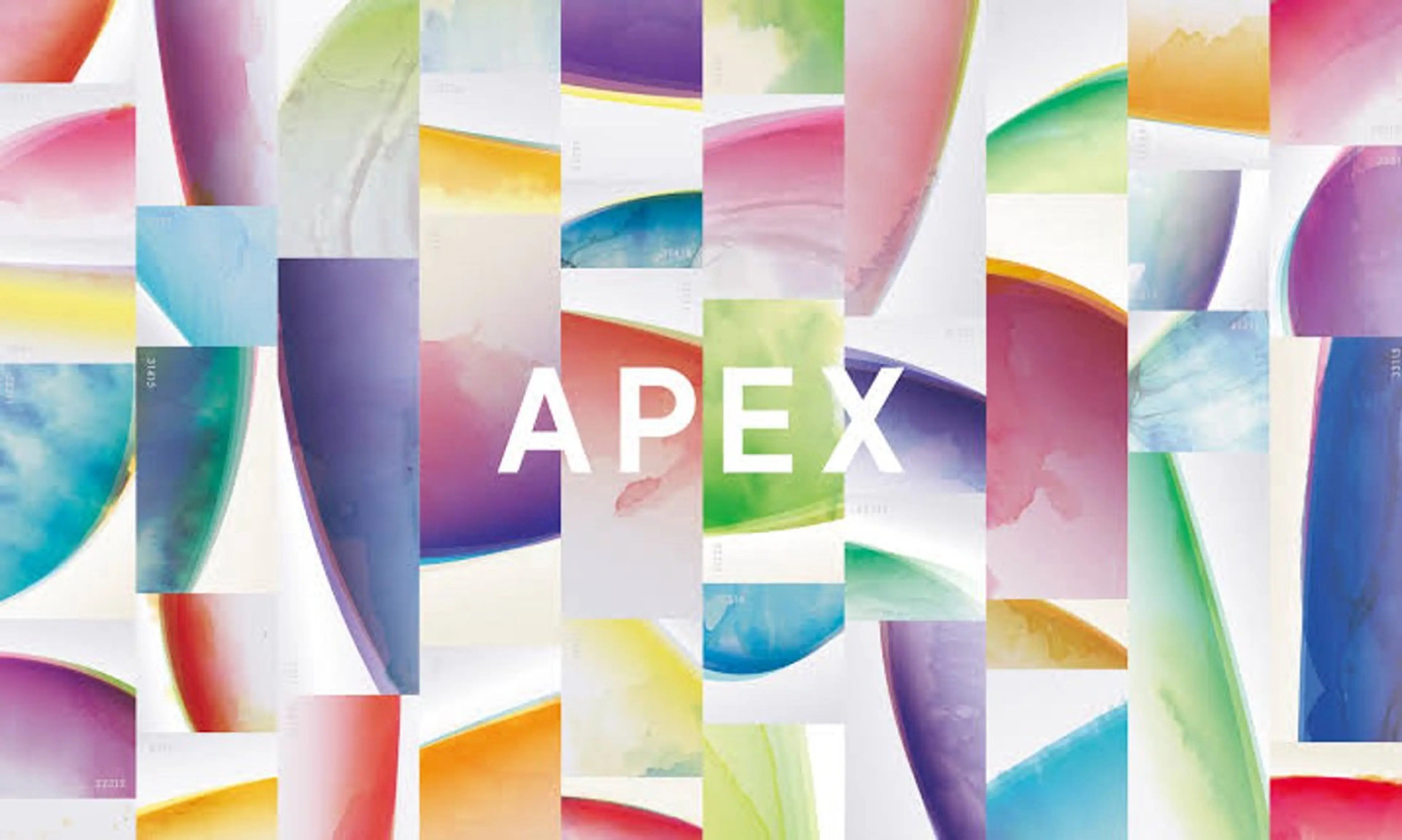 新APEX肌分析の写真