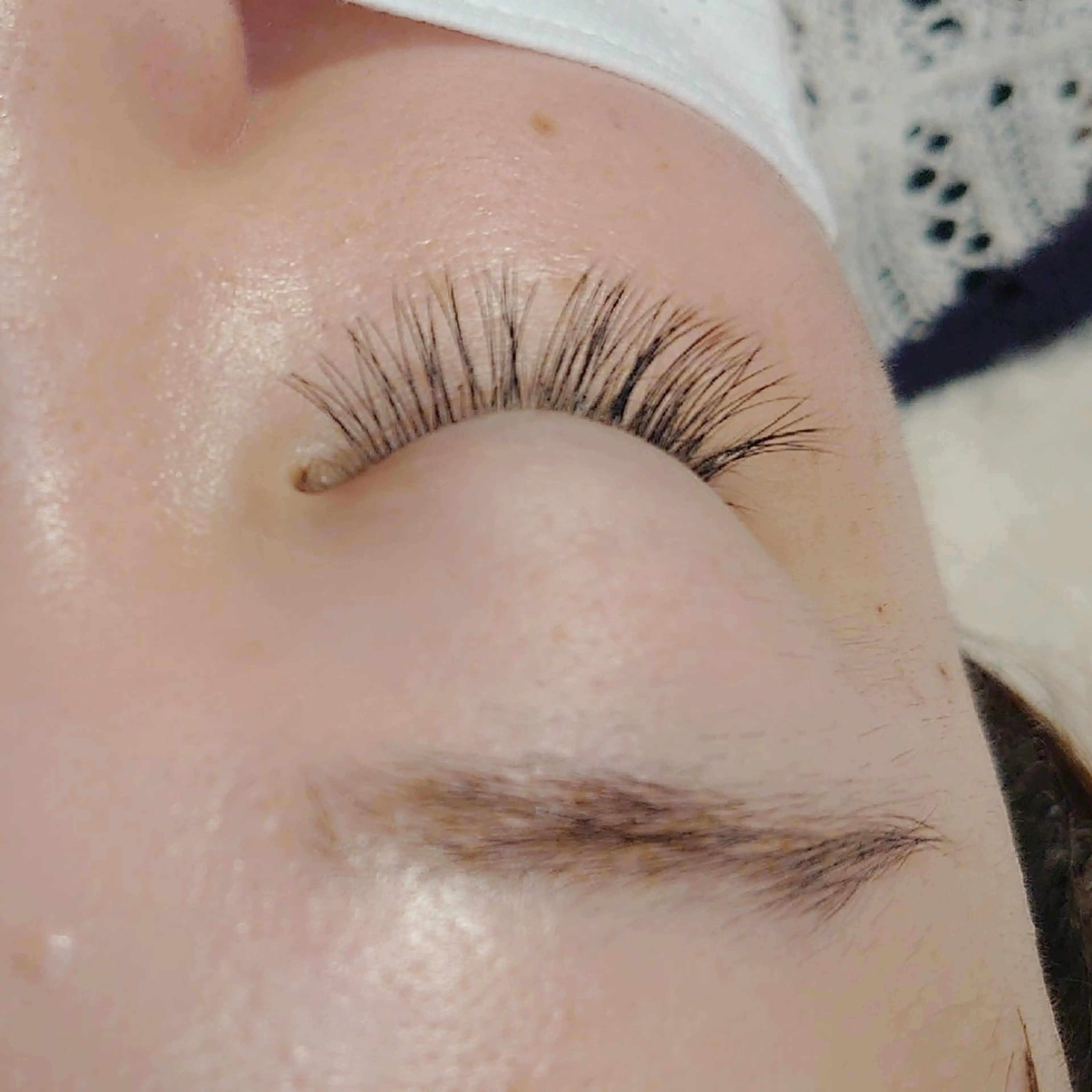 ダブルフラットラッシュ✨80束(160本)アイシャンプー付の写真