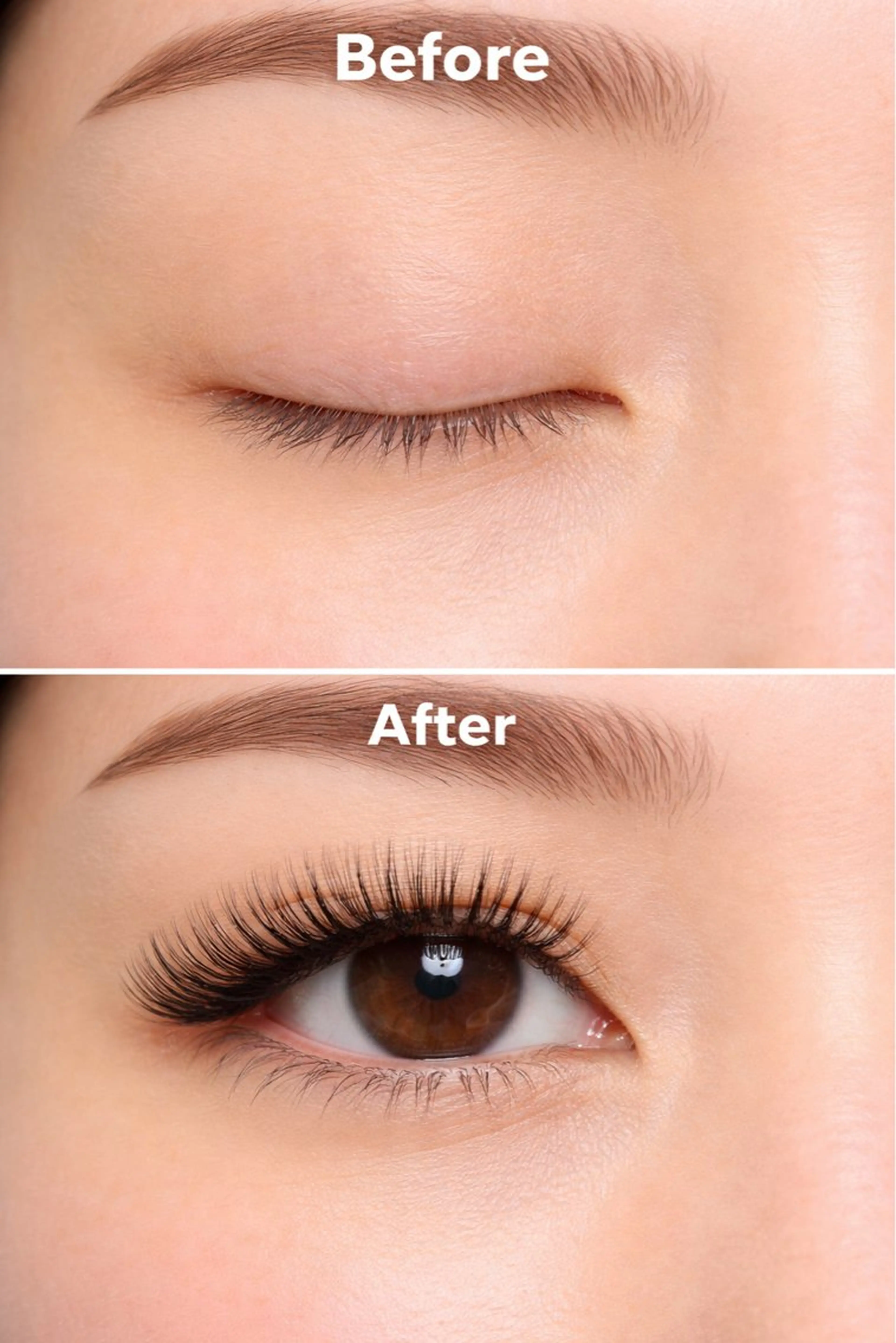 新規🦋‪ボリュームラッシュ300本(60束)🦋オフ込みの写真