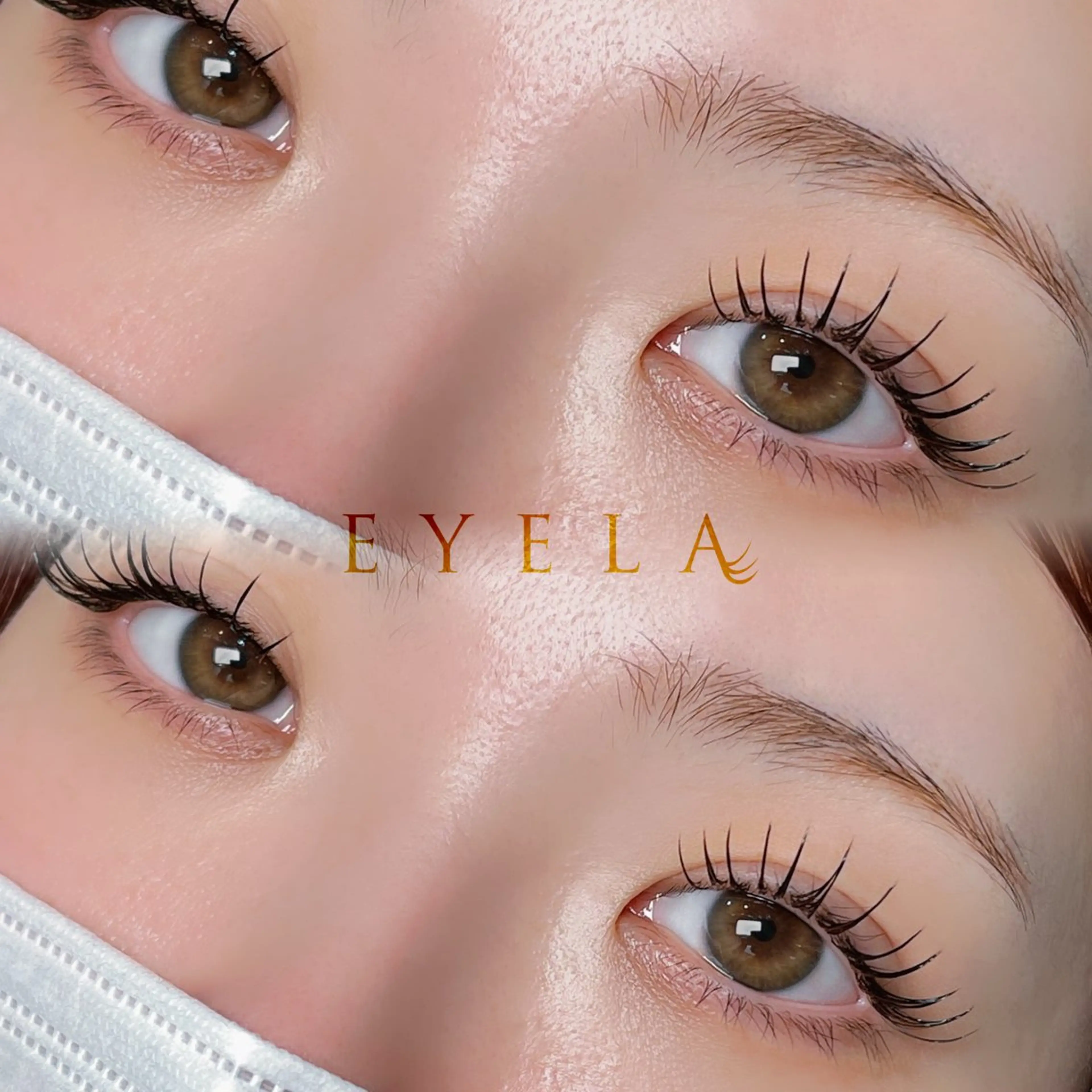 🧸LED×まつげパーマ【リフエク】🧸(フラットラッシュ120本)🍯オフ無し限定※の写真