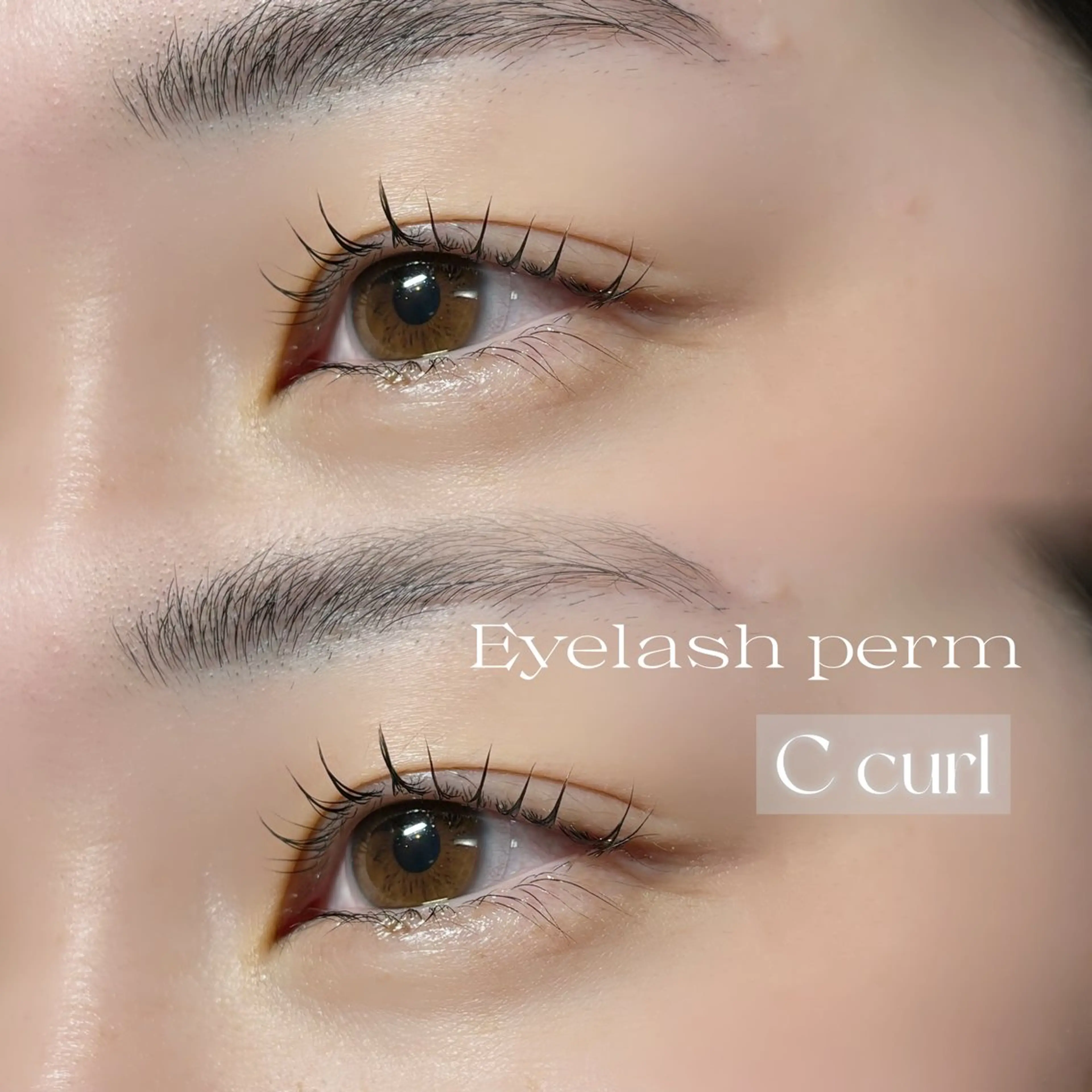 マツエク・マツパ Cカール ナチュラル Lani AO所属・Lani AO/ MAYUのマツエク・マツパデザイン