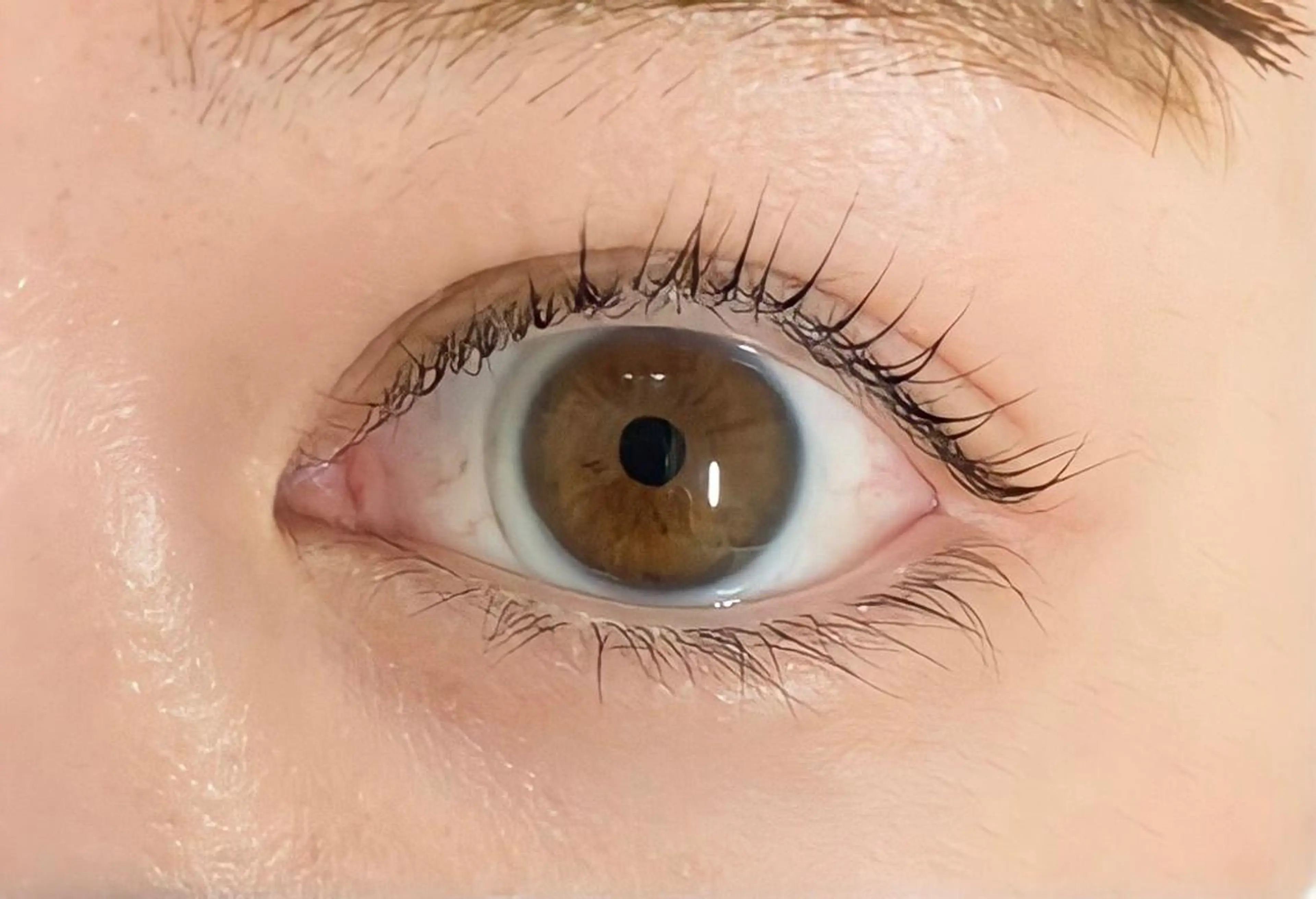 マツエク・マツパ マツパ Pljoul《プリジュール》所属・Pljoul🤍 天満橋のマツエク・マツパデザイン