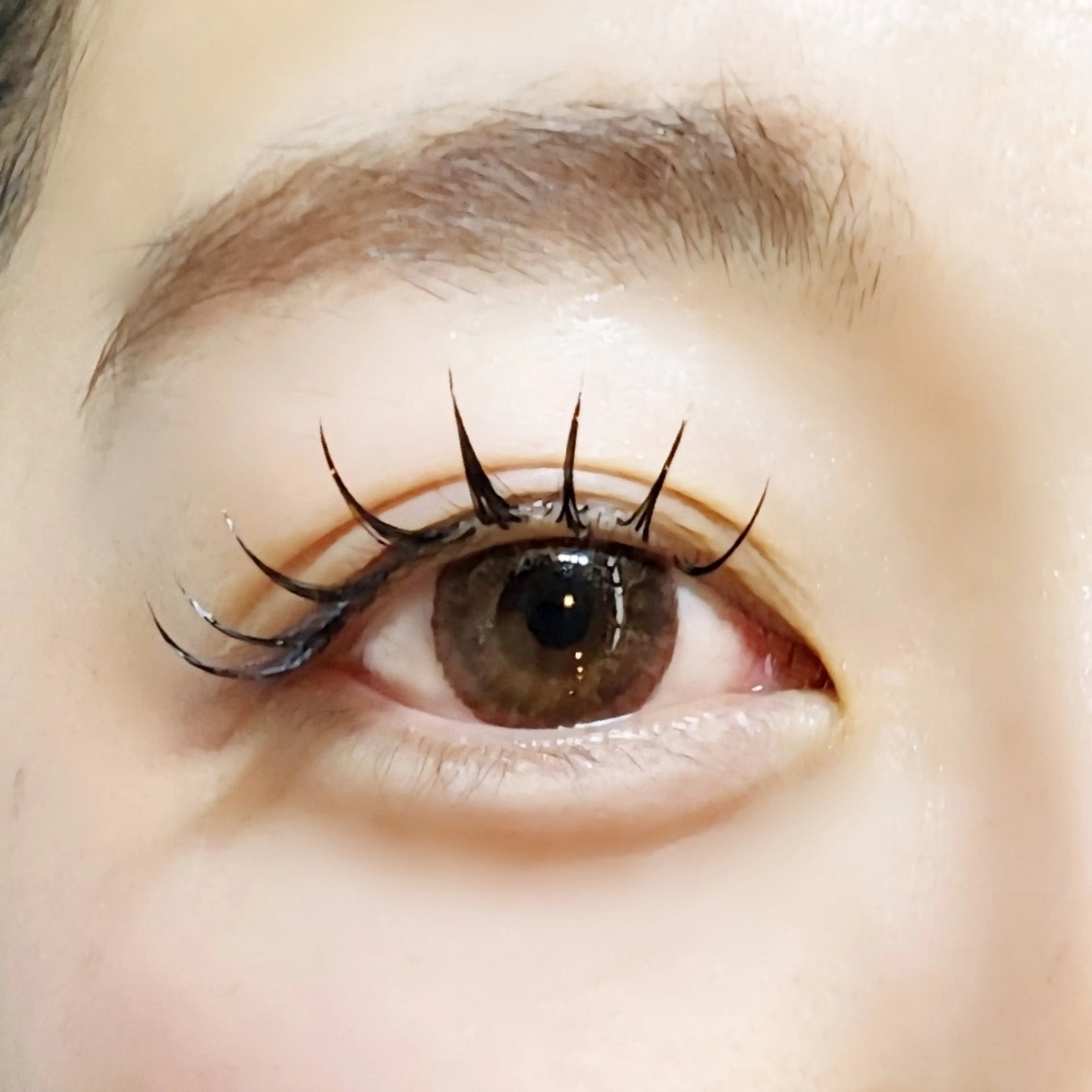 マツエク・マツパ バインドロック マツエク eyelash R𓇼eri🐈️の眉毛・アイブロウイメージ