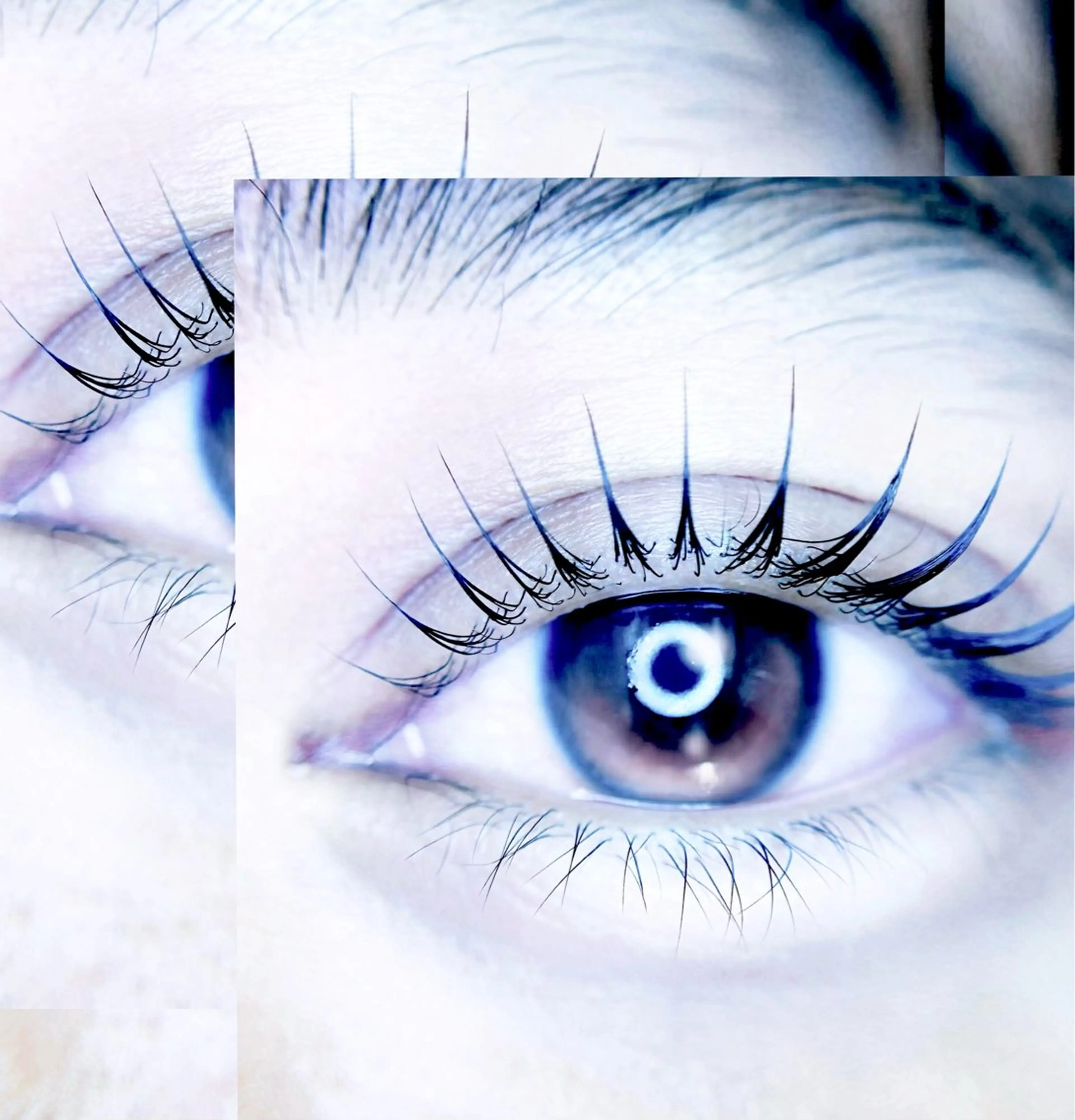 マツエク・マツパ eyelist. mizuki🐈⬛の眉毛・アイブロウイメージ