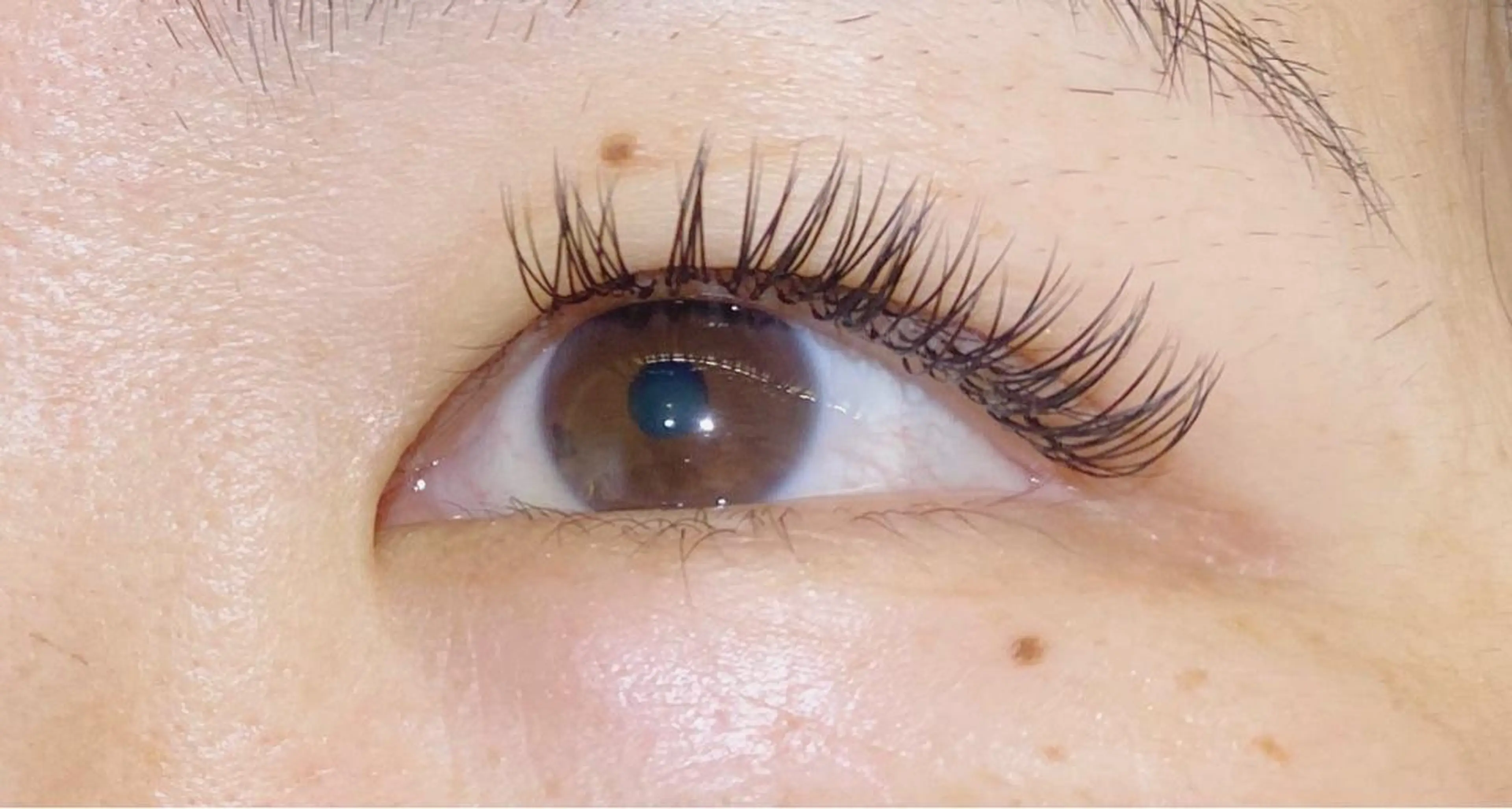 マツエク・マツパ Cカール ナチュラル Carat Eyelash&Eyebrow 市川店所属・時田 友美のマツエク・マツパデザイン