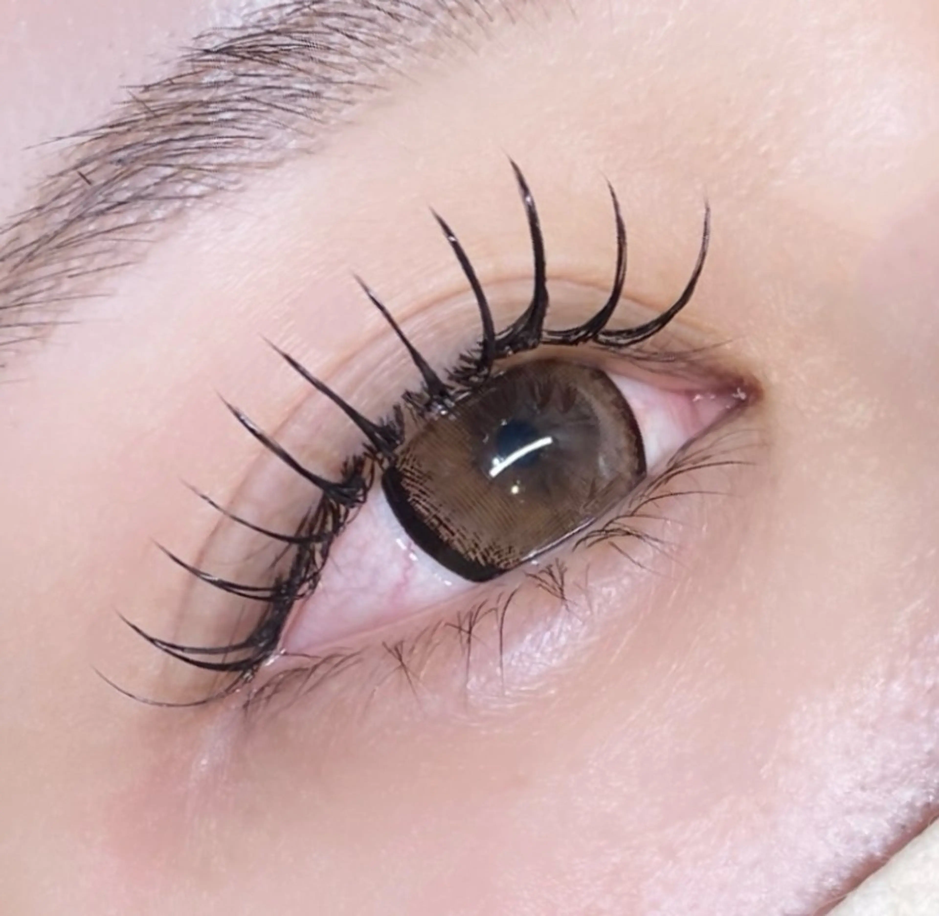 フラットラッシュ100本（オフ込み）※LED＋¥1,100の写真