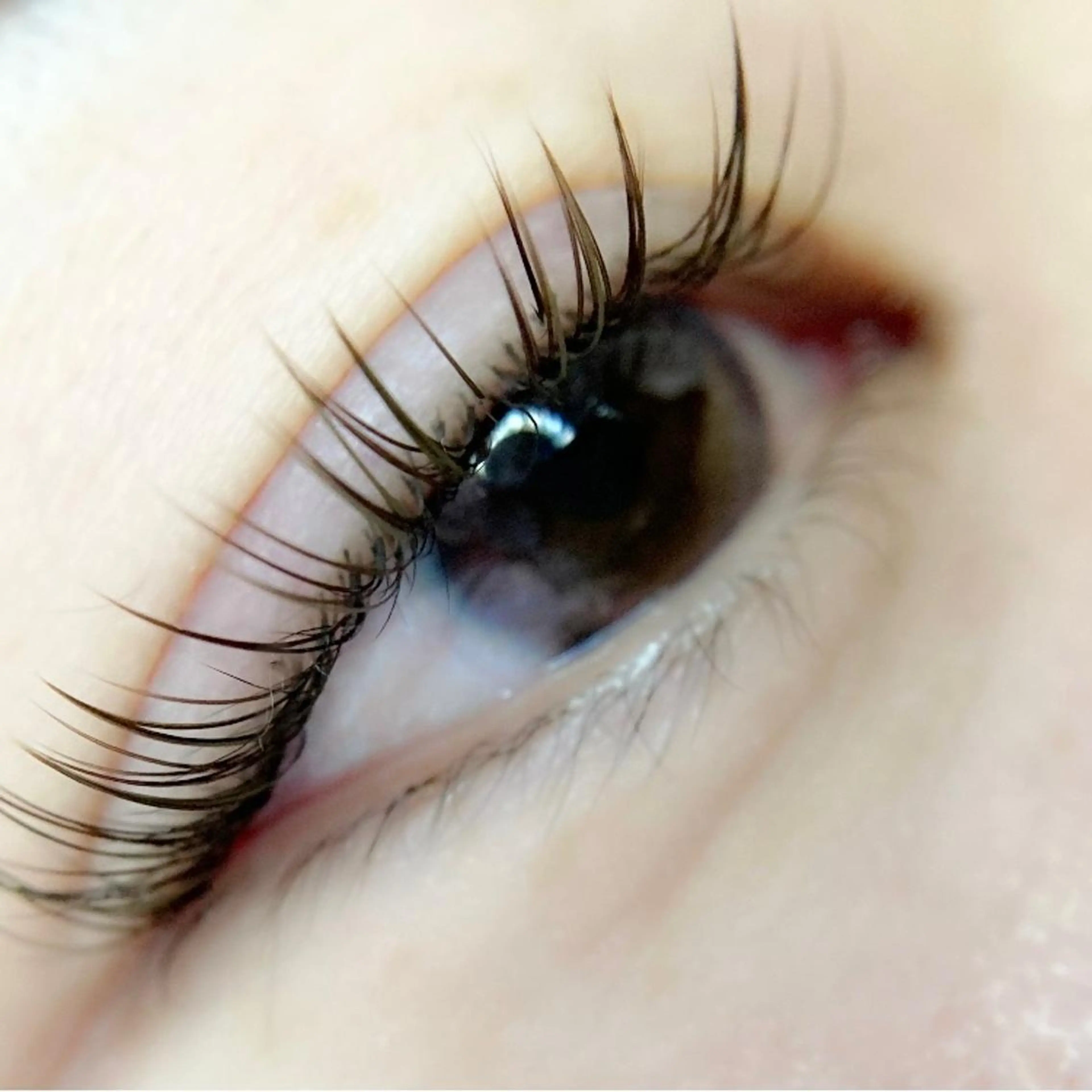 マツエク・マツパ フラットラッシュ ｉｃｈｉ ...のマツエク・マツパデザイン