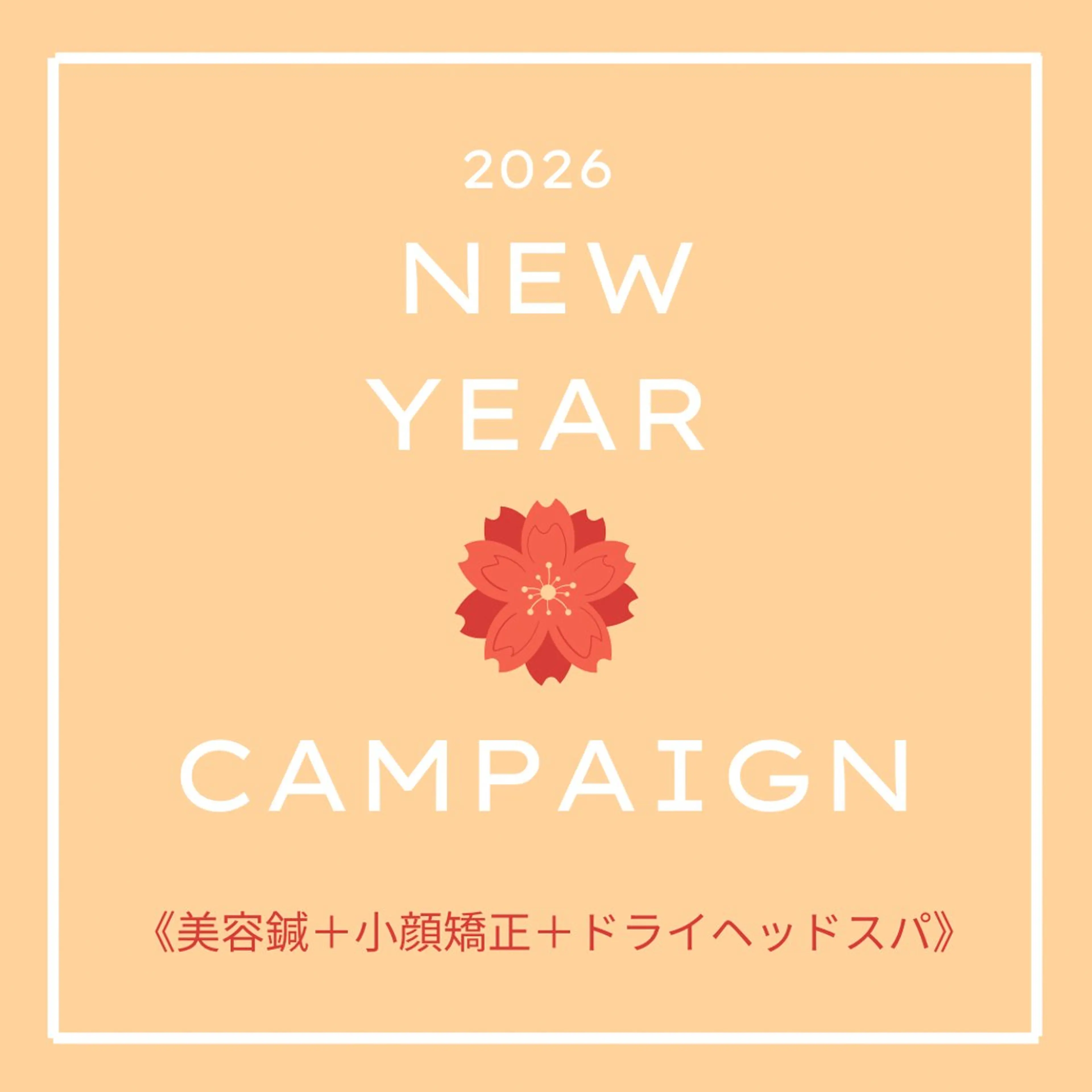 《🗣️当日限定🪡》美容鍼＋小顔矯正＋ドライヘッドスパ（60分）の写真