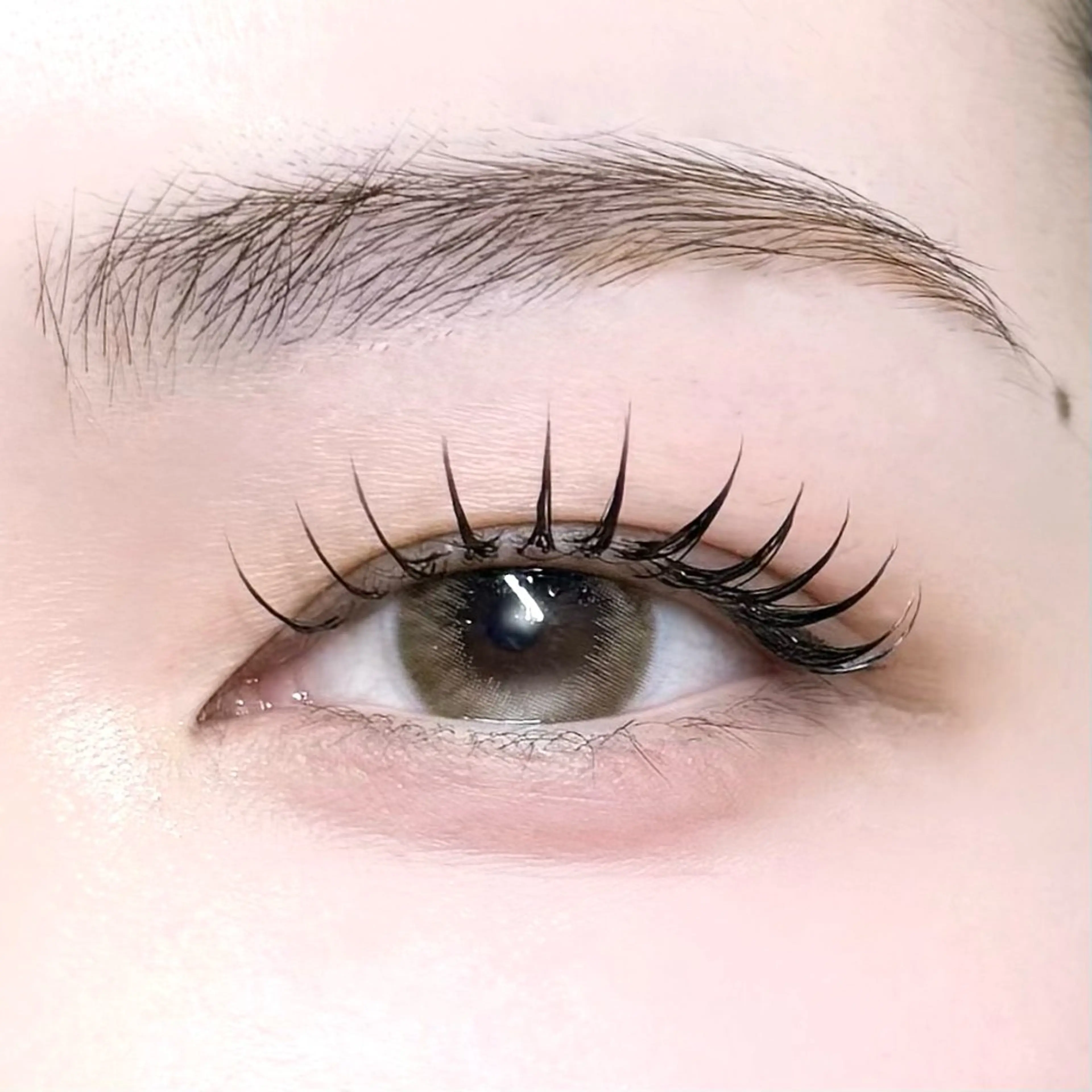 【オフ込み】🎀パリエク🎀100本❕アイシャンプー➕コーティング付き💫の写真