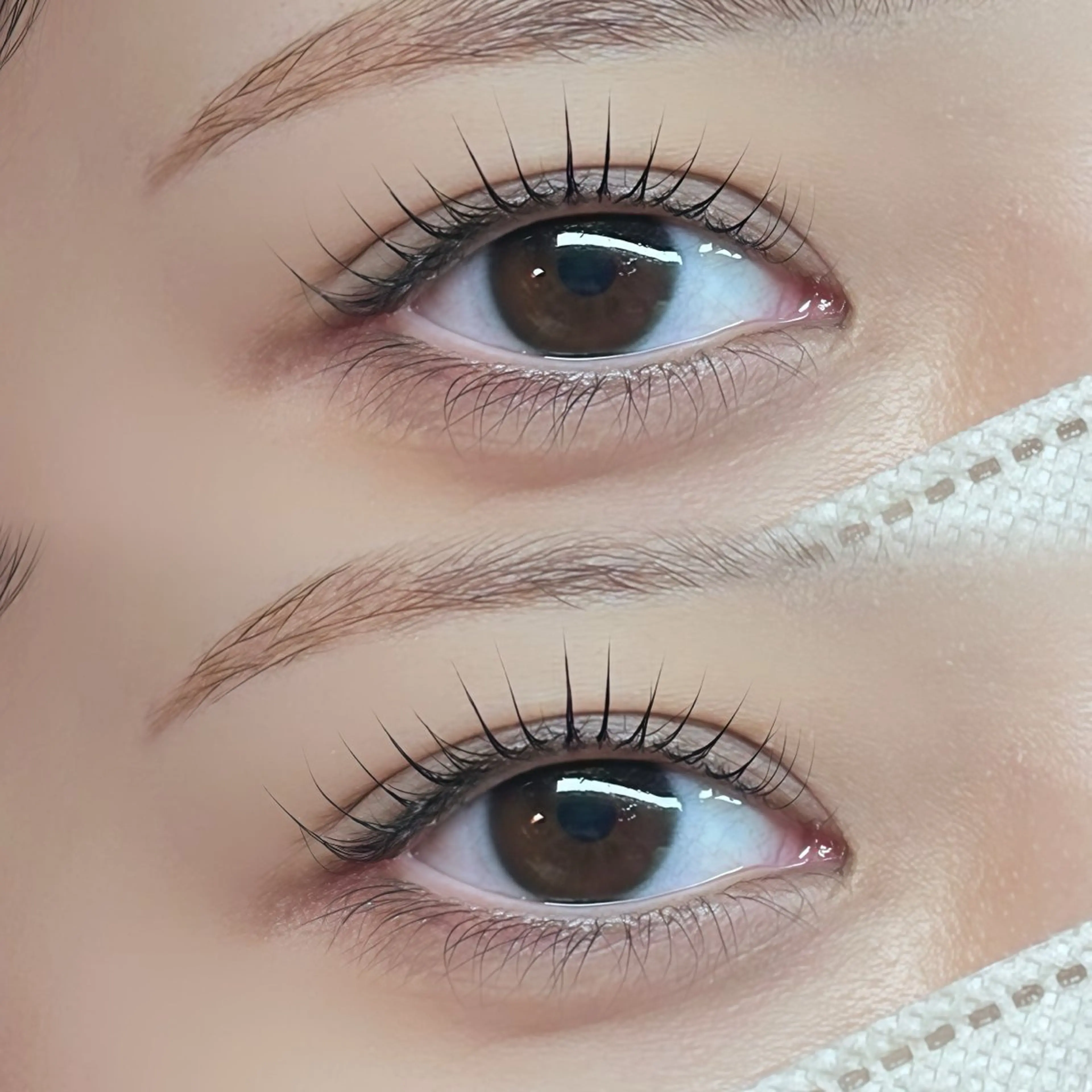 マスカラパーマ✨韓国風ブラックティント仕上げ🎶の写真