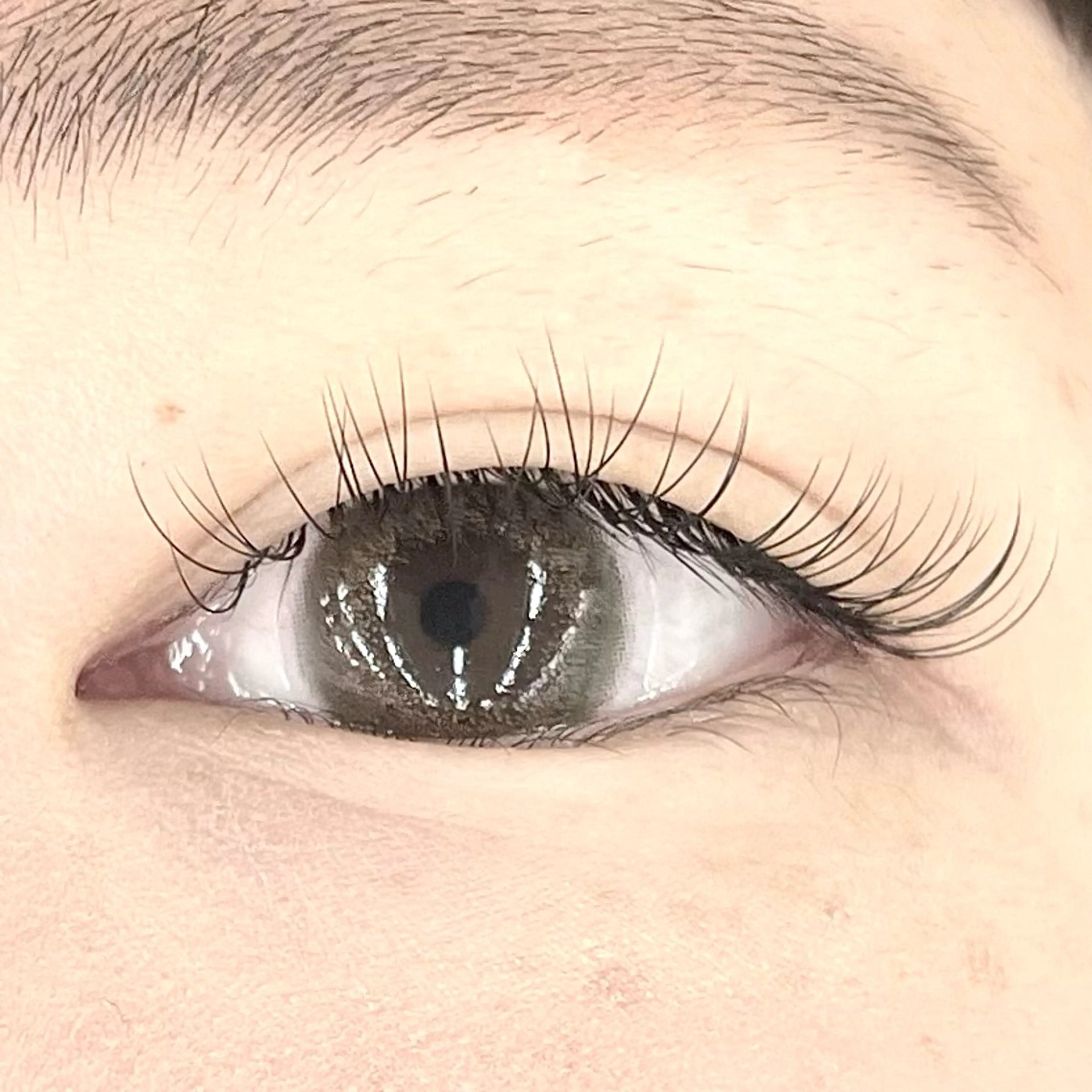 マツエク・マツパ Eyelash 大阪梅田 MAXKELLY【アイラッシュ ウメダ マックスケリー】所属・🦋maxkelly .mizuki🦋のマツエク・マツパデザイン