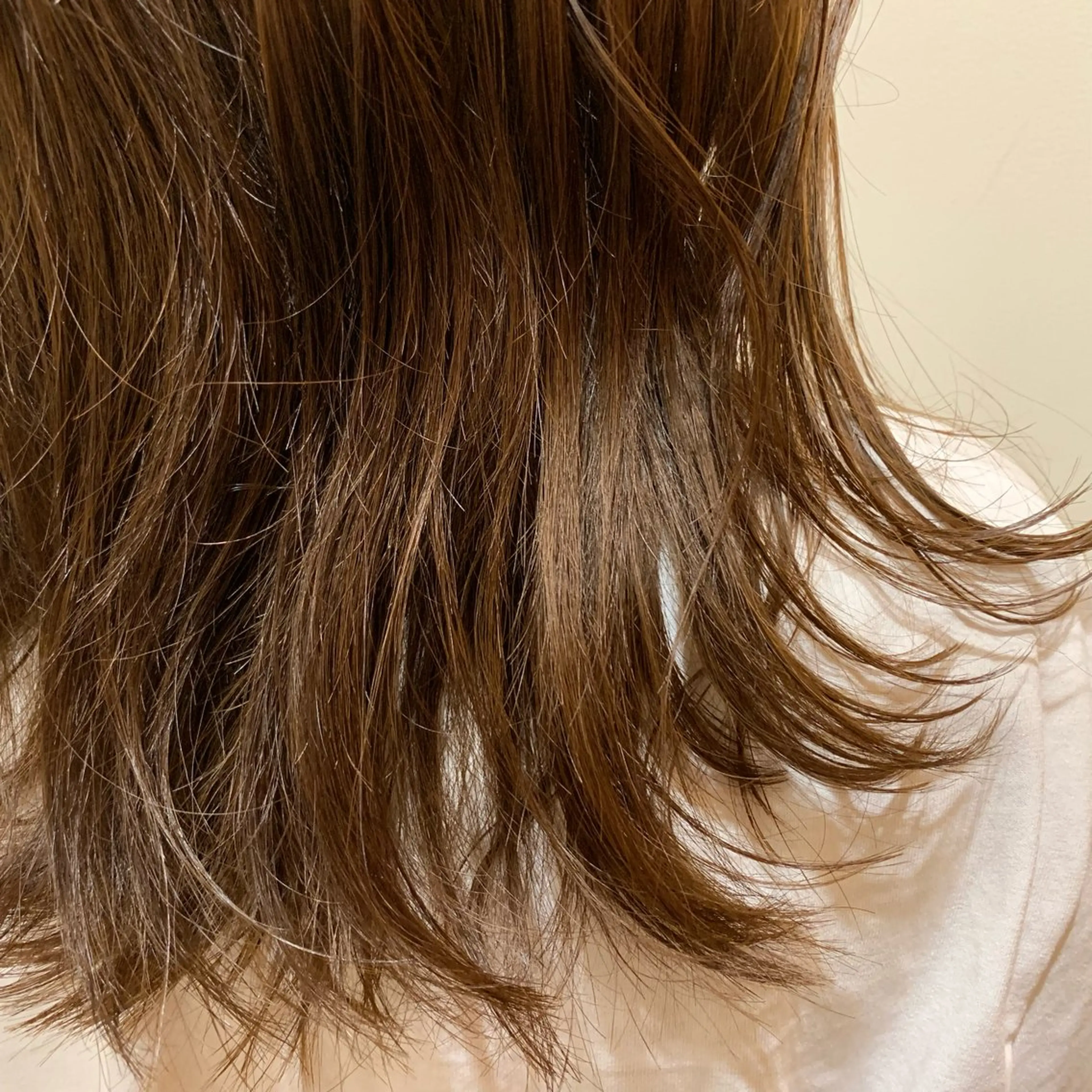 セミロング 森脇 龍星のヘアスタイル