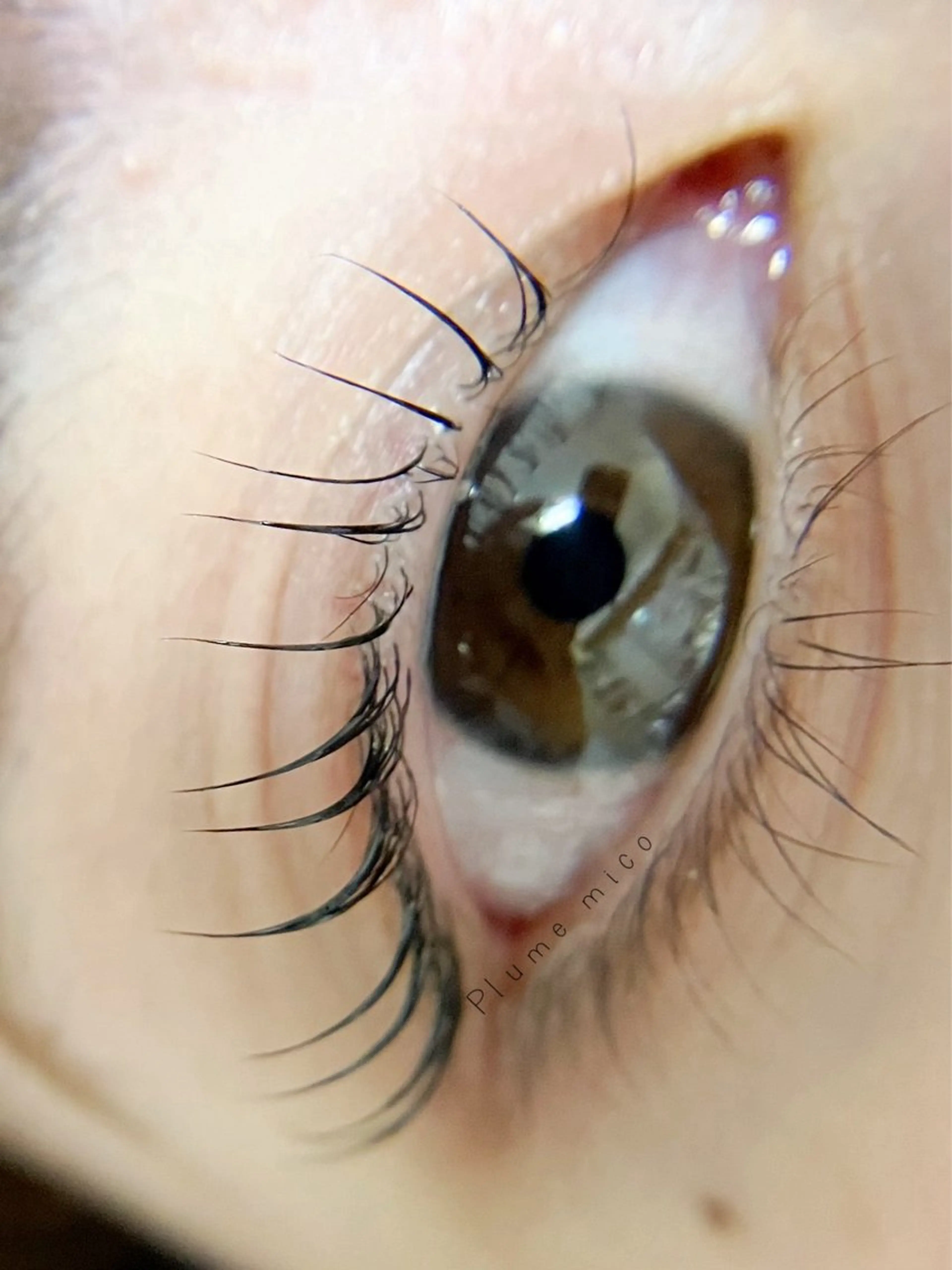 マツエク・マツパ マツパ Plume micoのマツエク・マツパデザイン