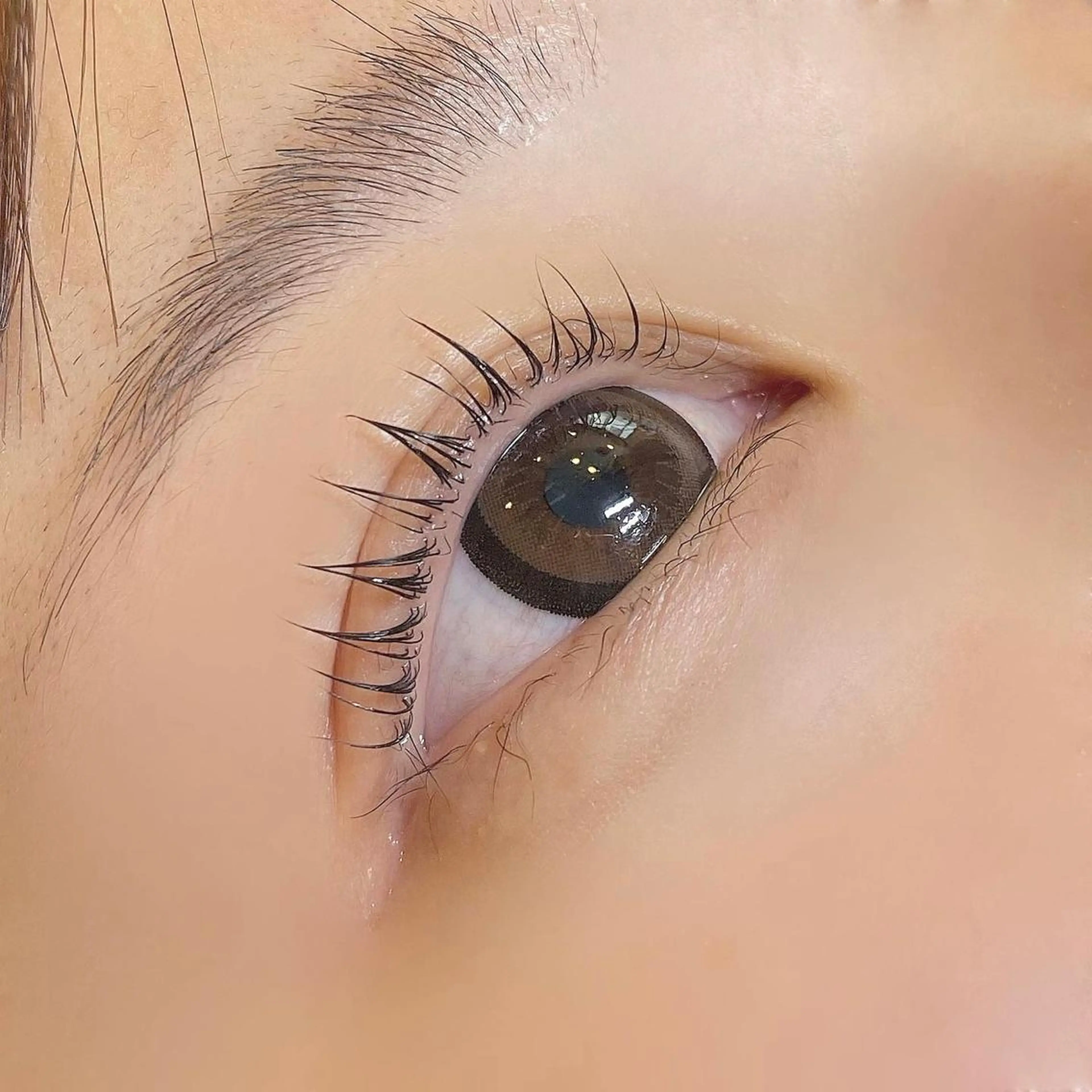 マツエク・マツパ Lカール 一重×まつ毛パーマ 🪽yoshino miku 🩵のマツエク・マツパデザイン