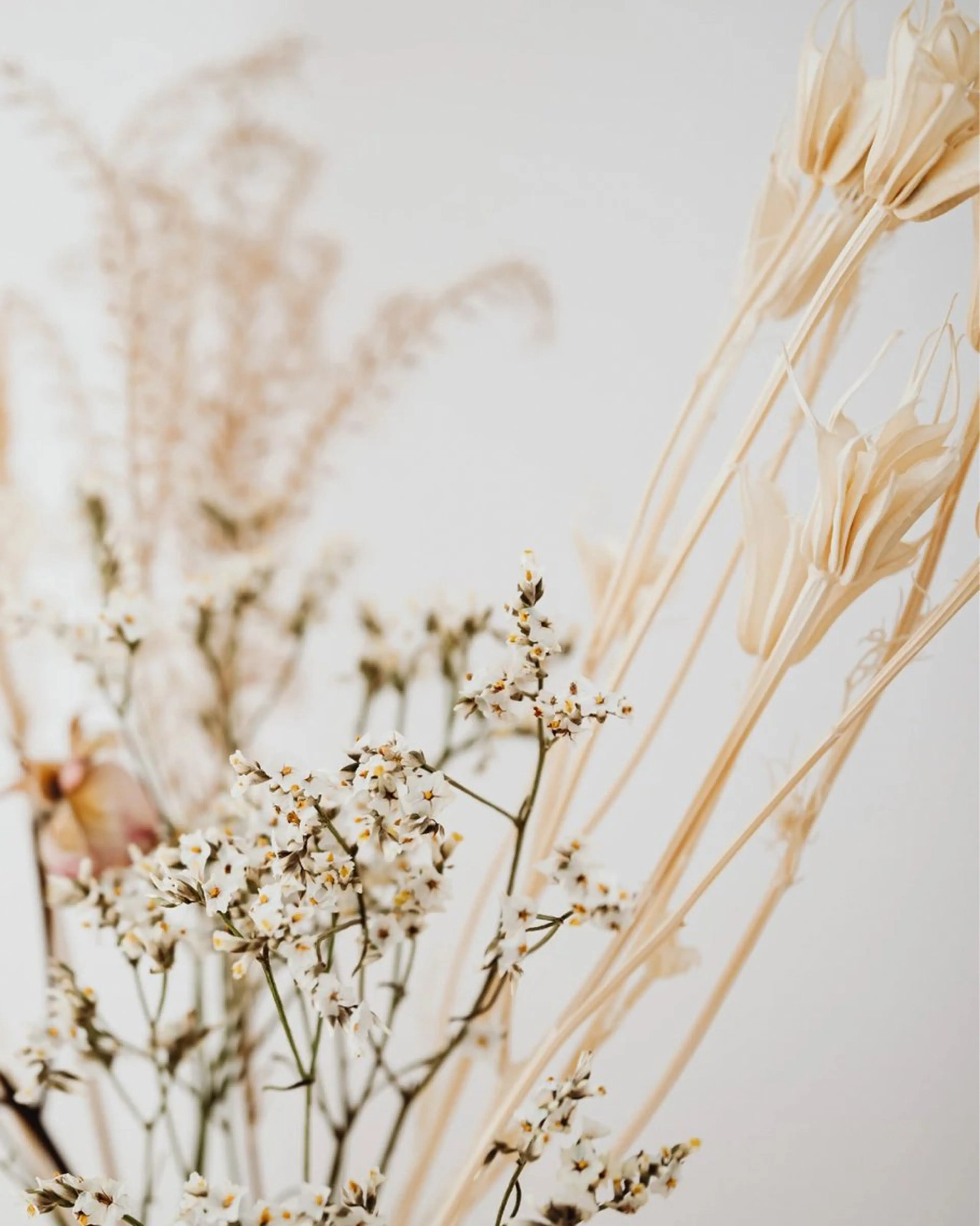 マツエク・マツパ まつげと眉毛のお店Sakura Lash【サクララッシュ】所属・【ダメージケア特化】 🌸 サクララッシュの眉毛・アイブロウイメージ