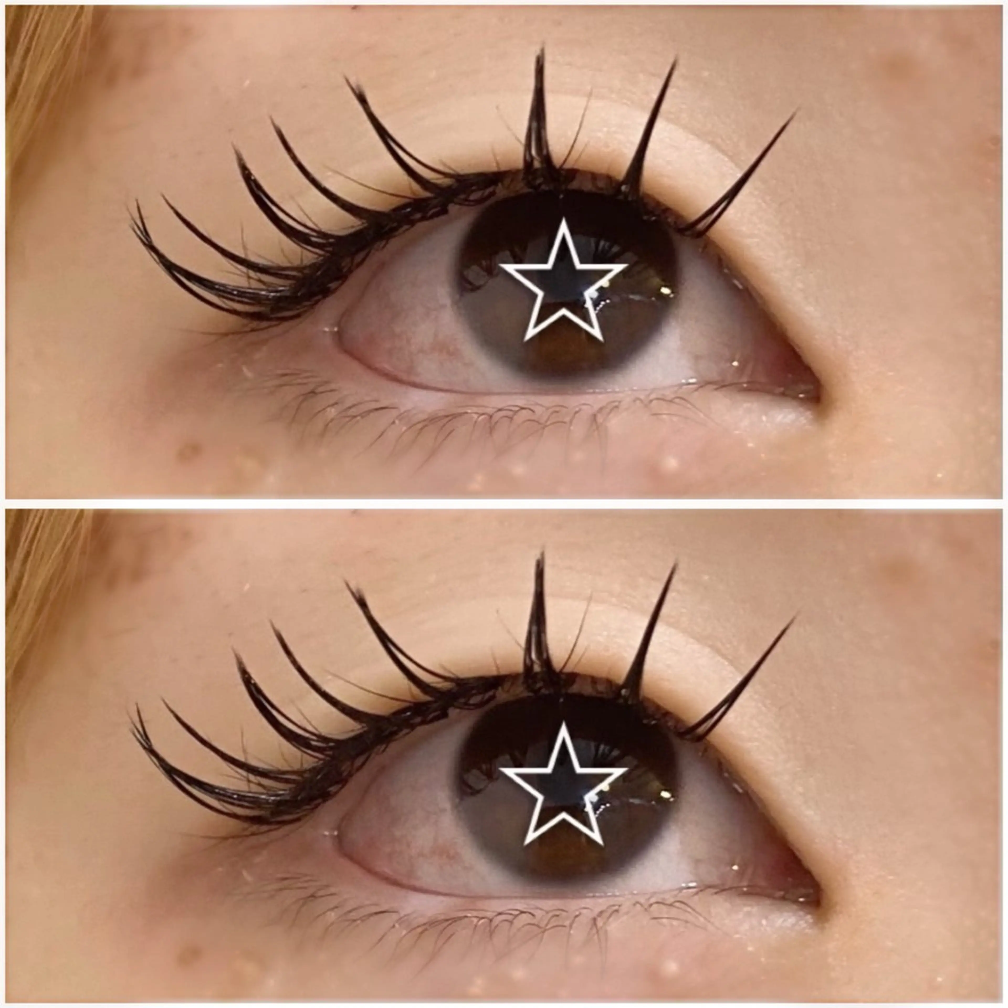 バインドロック80束の写真