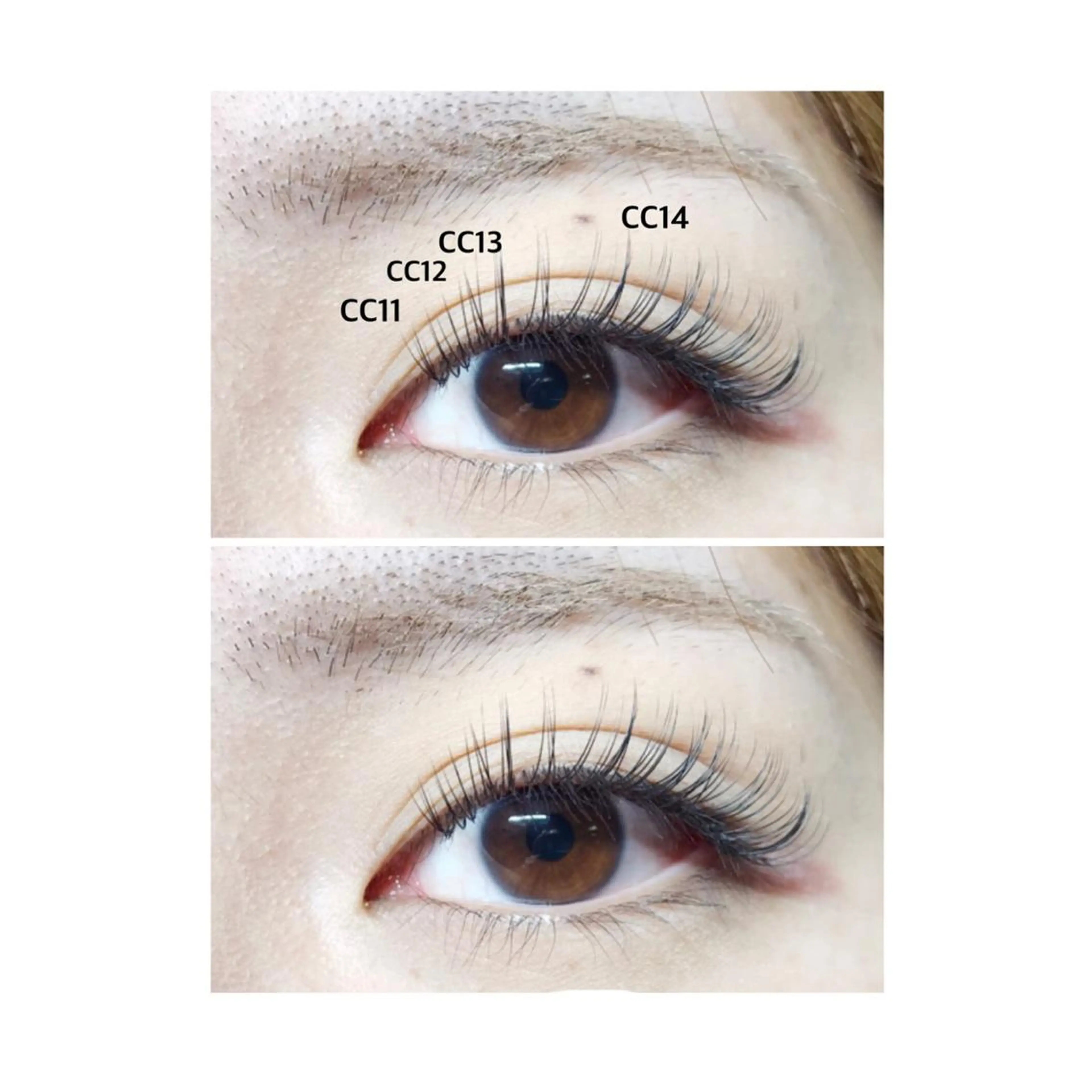 マツエク・マツパ Little River所属・Little Riverのマツエク・マツパデザイン