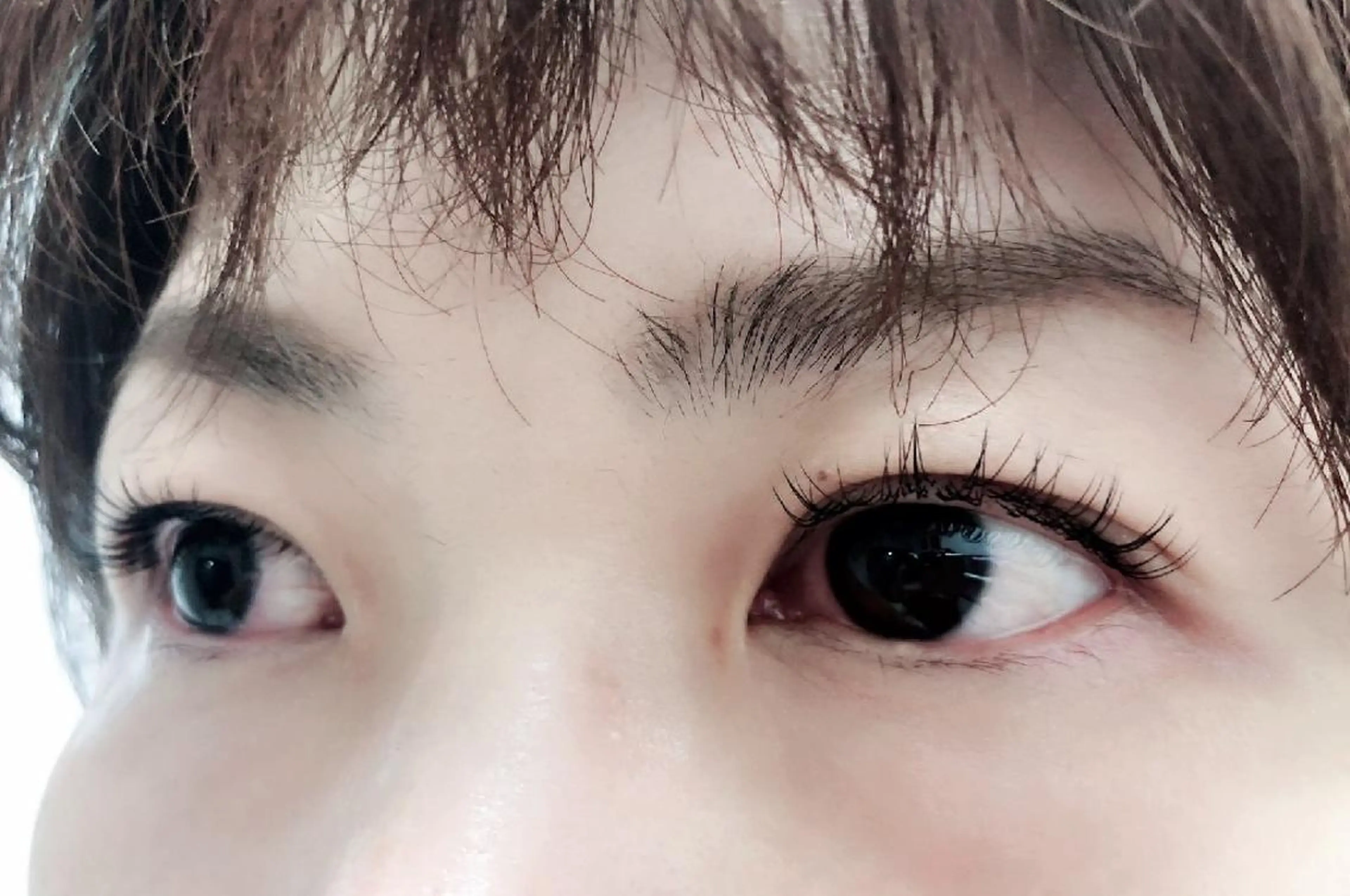 マツエク・マツパ 付け放題 フラットラッシュ ナチュラル 下まつげエクステ 一重×まつ毛パーマ 吉岡 ゆうなのマツエク・マツパデザイン