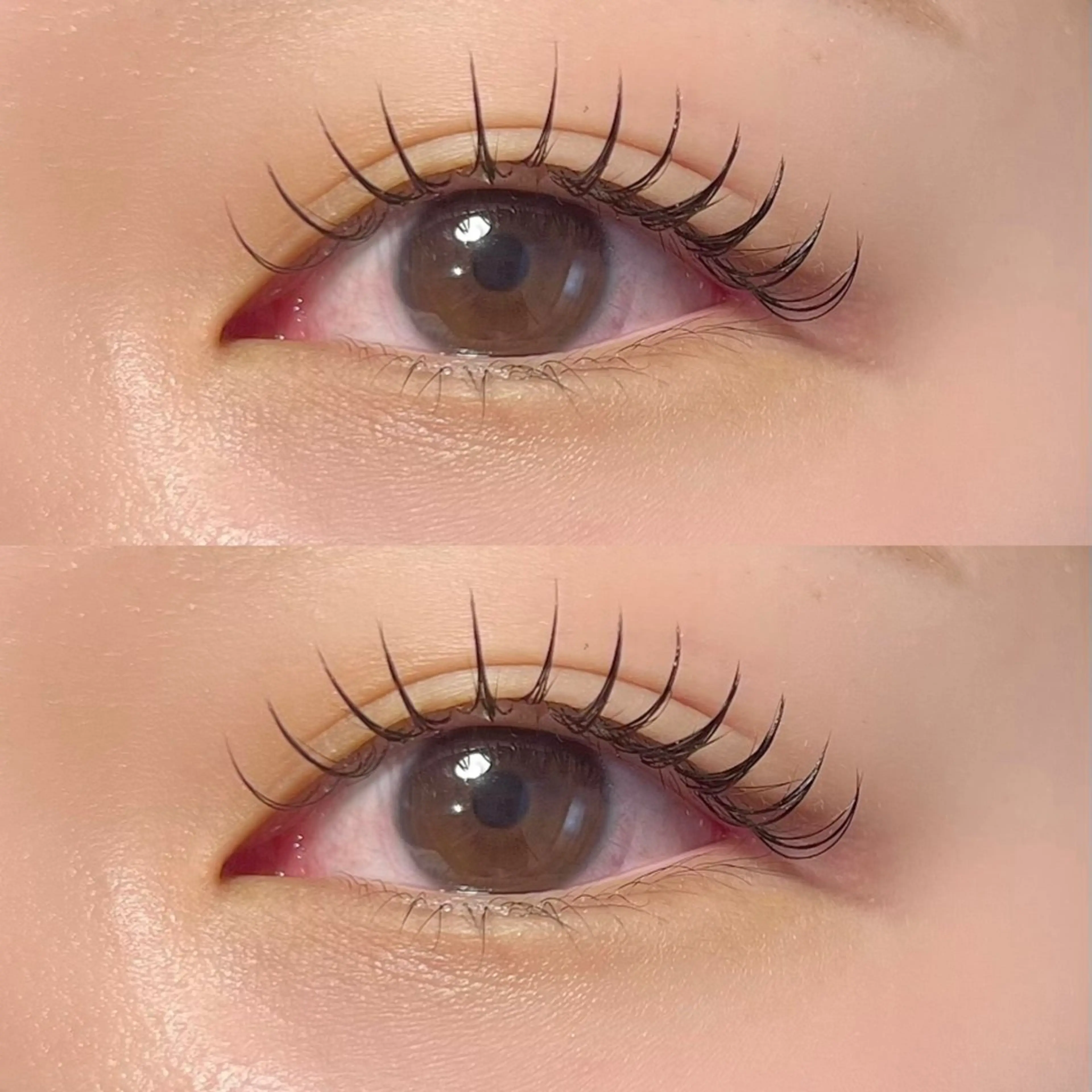 【当日限定‼️】フラットラッシュ80本の写真