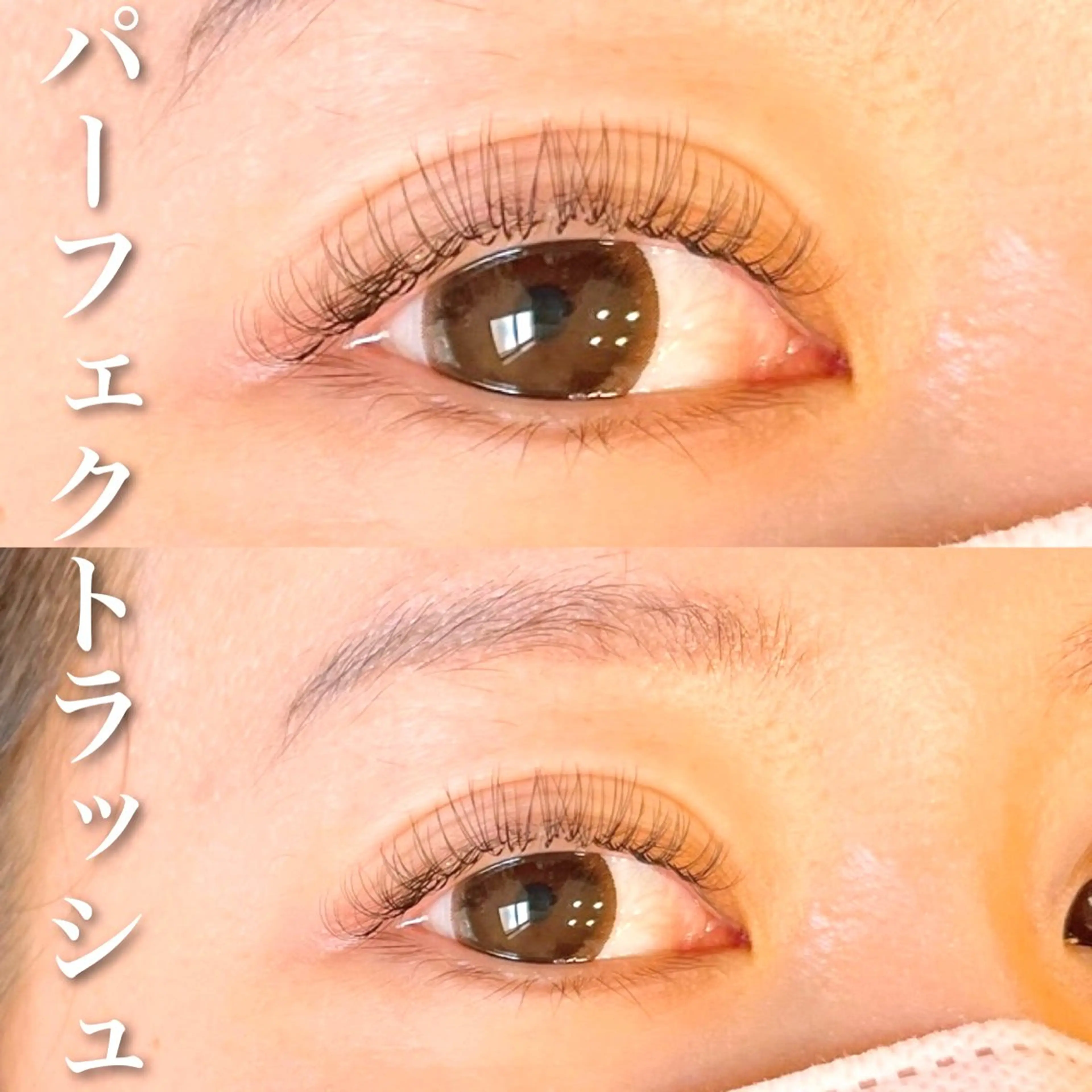 【自まつ毛が少なく、濃い目元が好きな方に大人気】パーフェクトラッシュ80本の写真