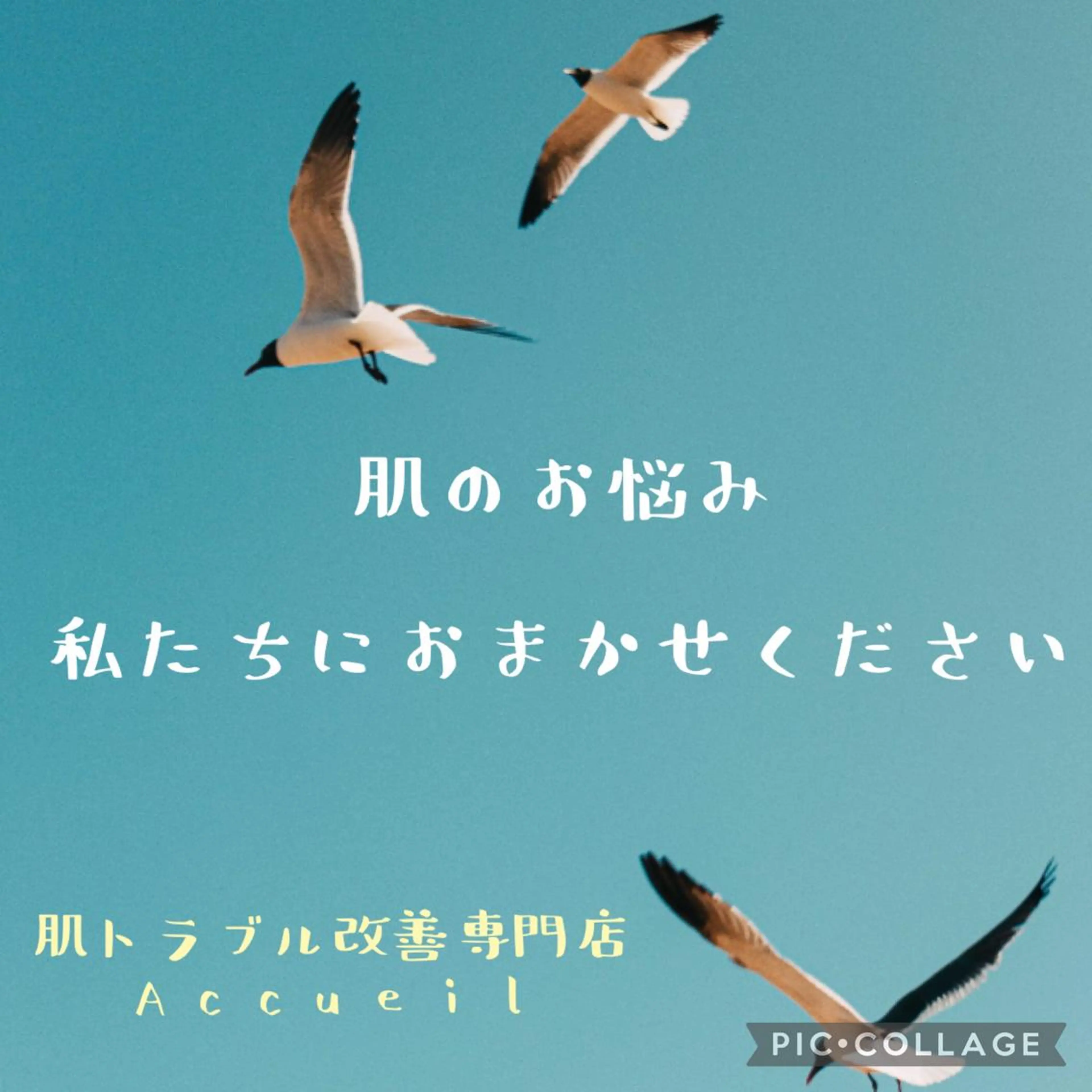 セミロング カラー パーマ ヘアアレンジ メンズ キッズ ネイル マツエク・マツパ アイブロウ エステ リラク ニキビ特化型エステ 🍓最短で肌質改善のその他イメージ