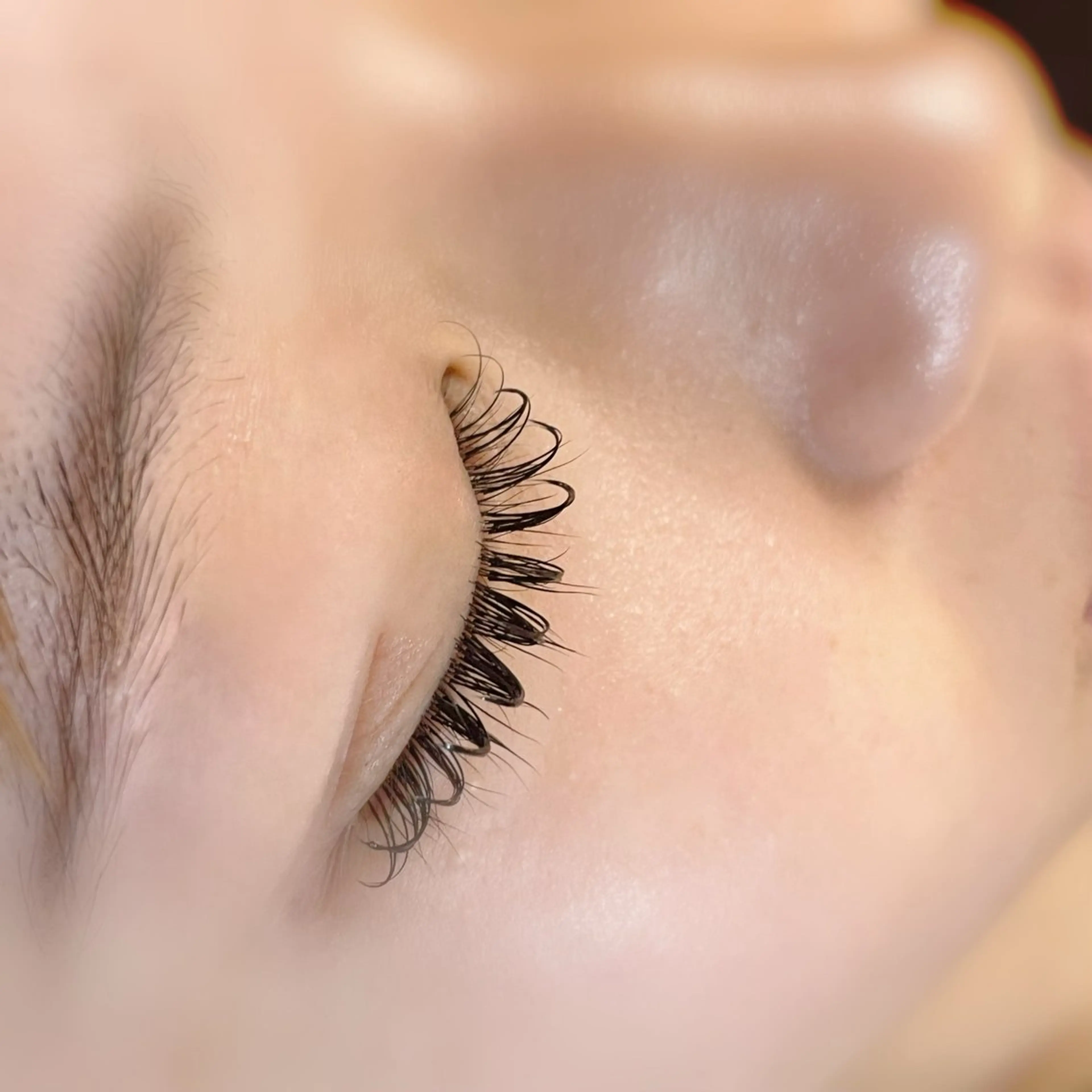 フラットラッシュ100本の写真