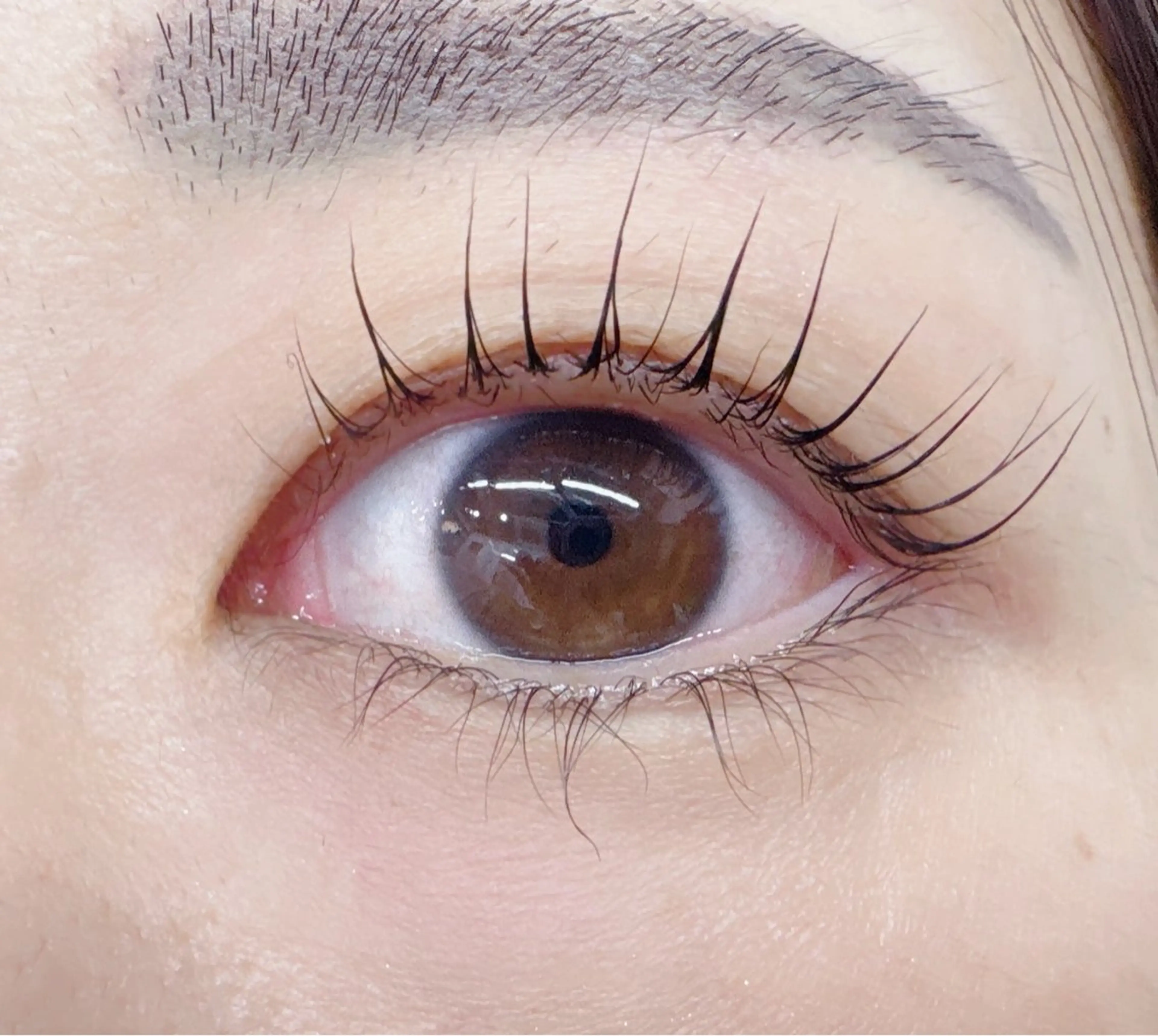 パリジェンヌラッシュリフト+眉毛Wax脱毛の写真