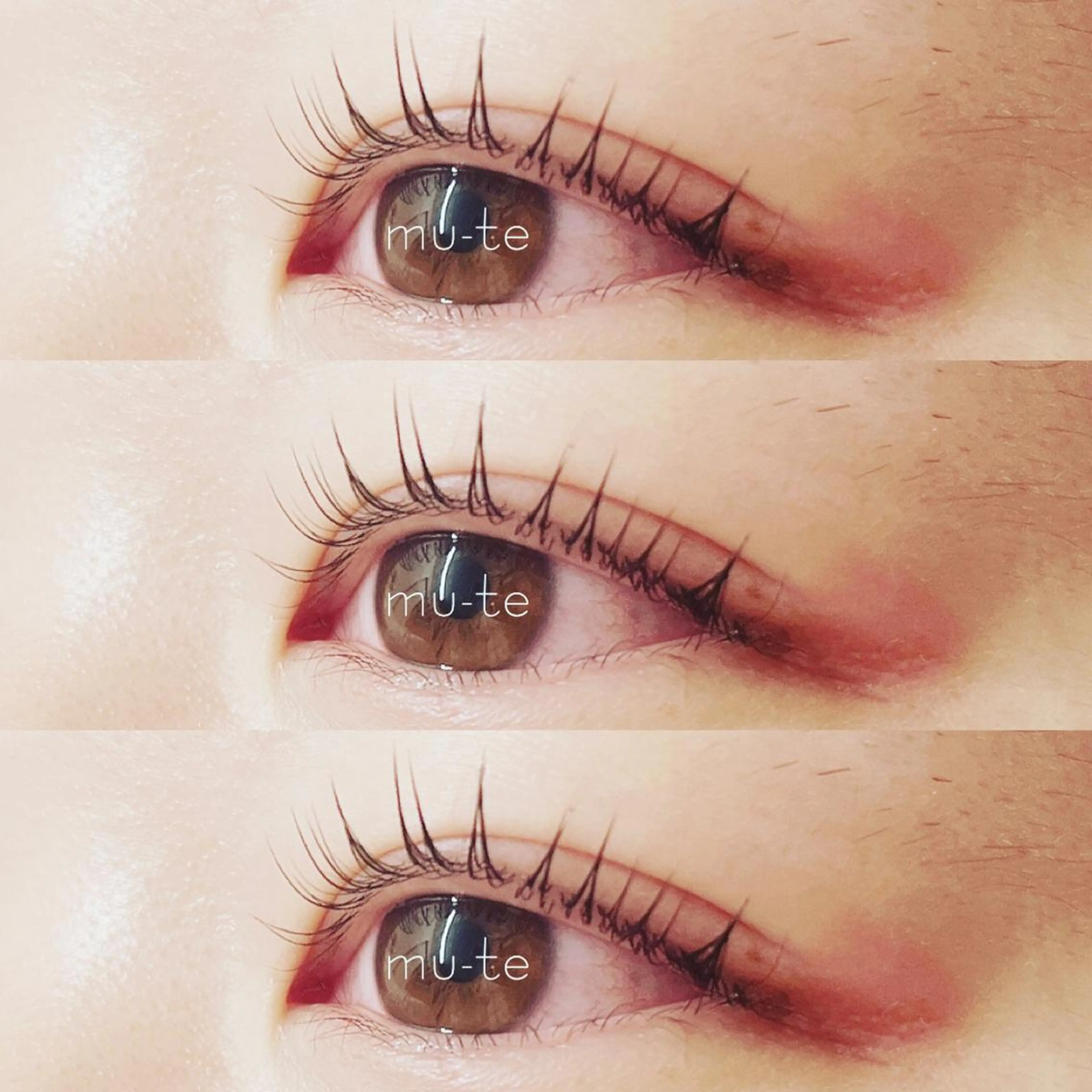 ラッシュリフト＋ラッシュコントロールシステムの写真