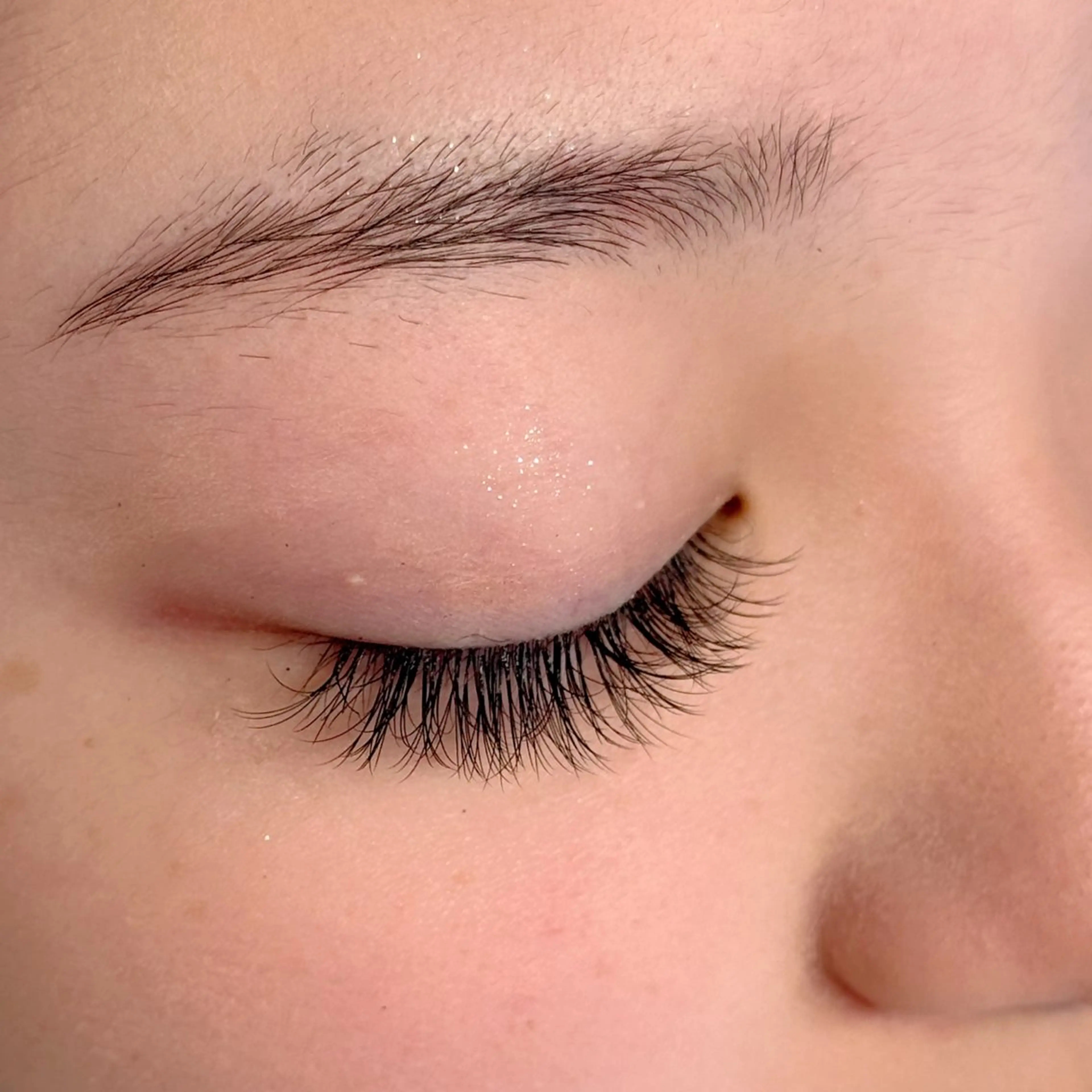 【モニターさん募集】バインドロック80束の写真