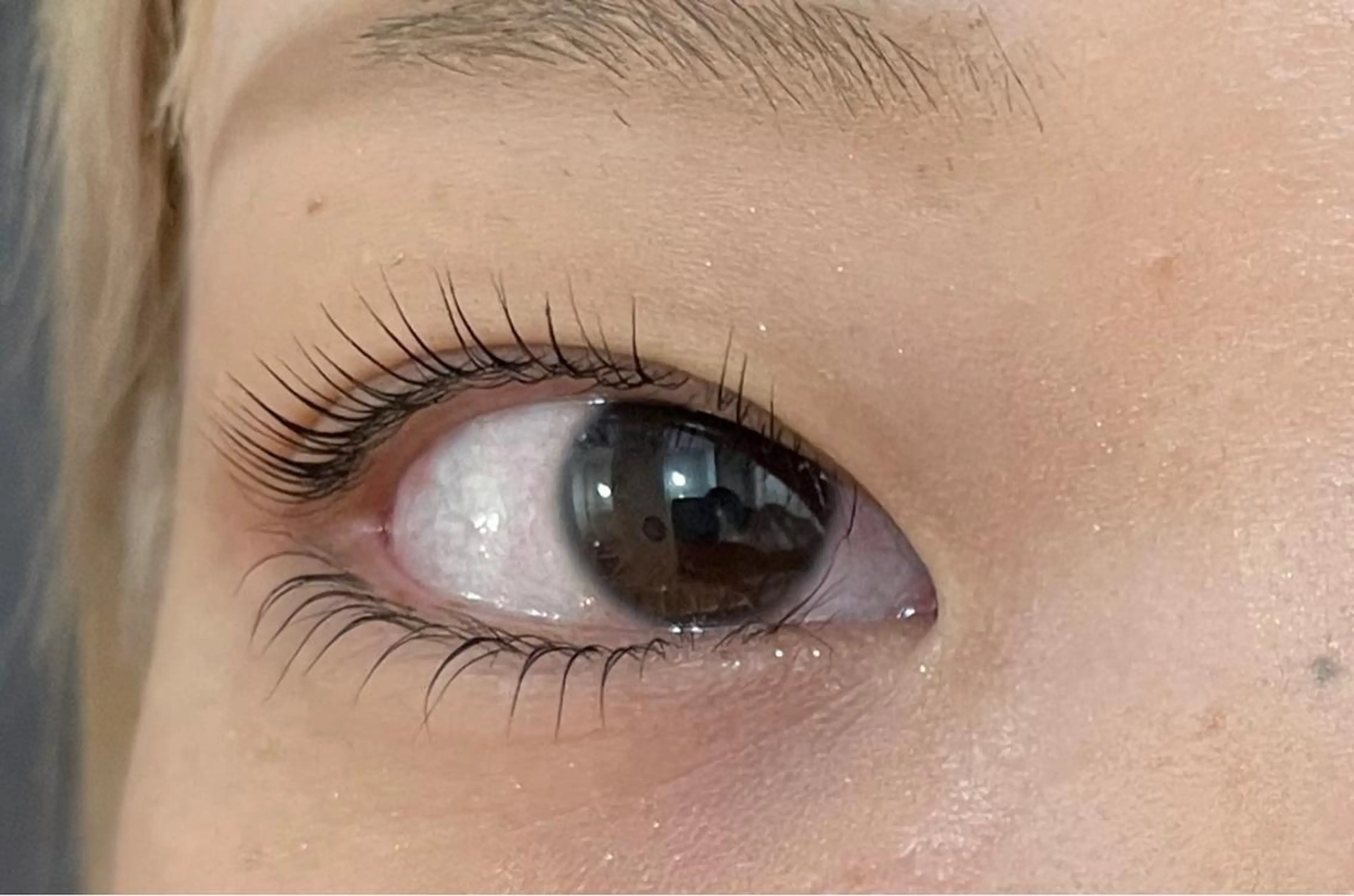 マツエク・マツパ マリーテレジア 🌻RUKAのマツエク・マツパデザイン