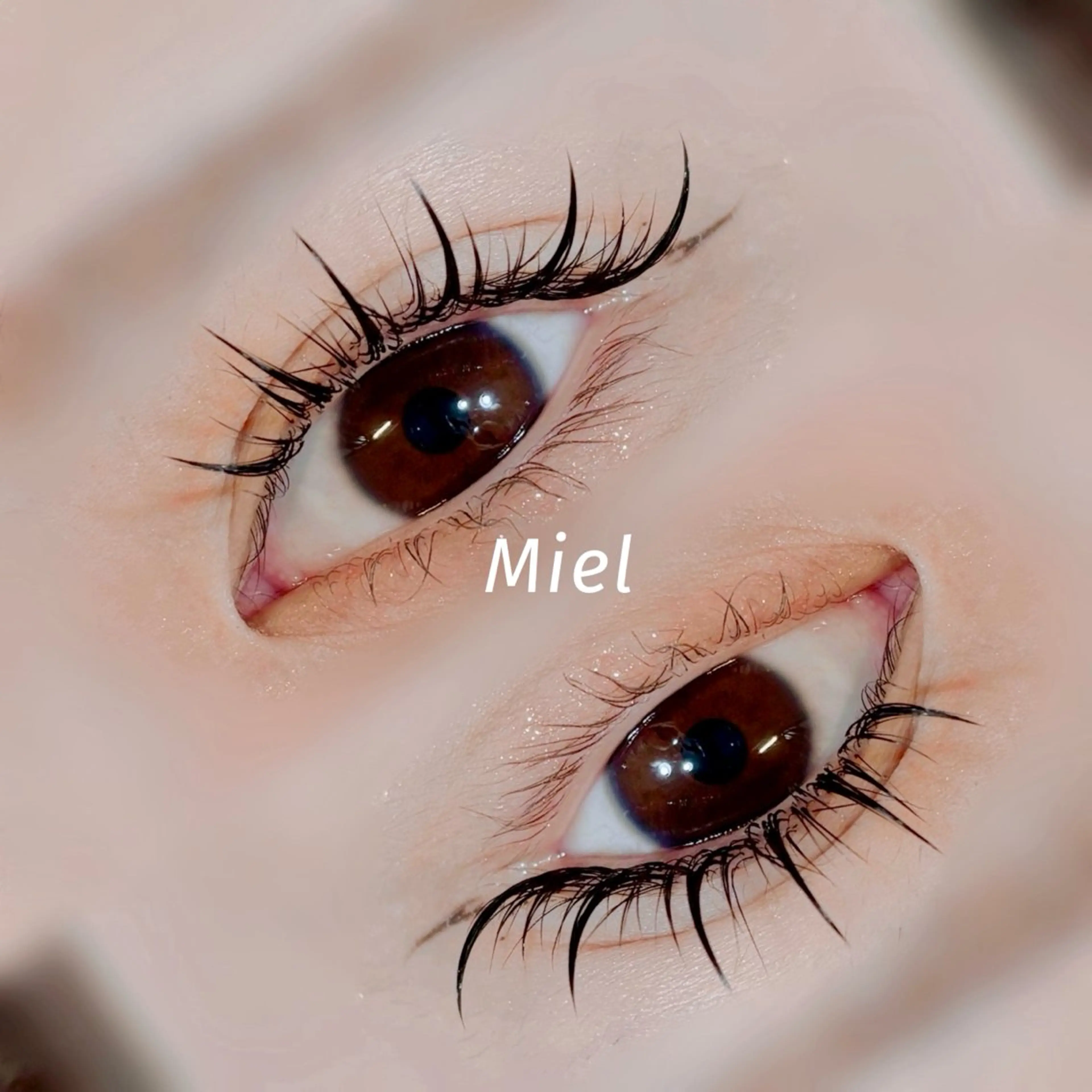 マツエク・マツパ カラーマツエク フラットラッシュ ボリュームラッシュ ワンホンマツエク Mori ✨Mystical✨のマツエク・マツパデザイン