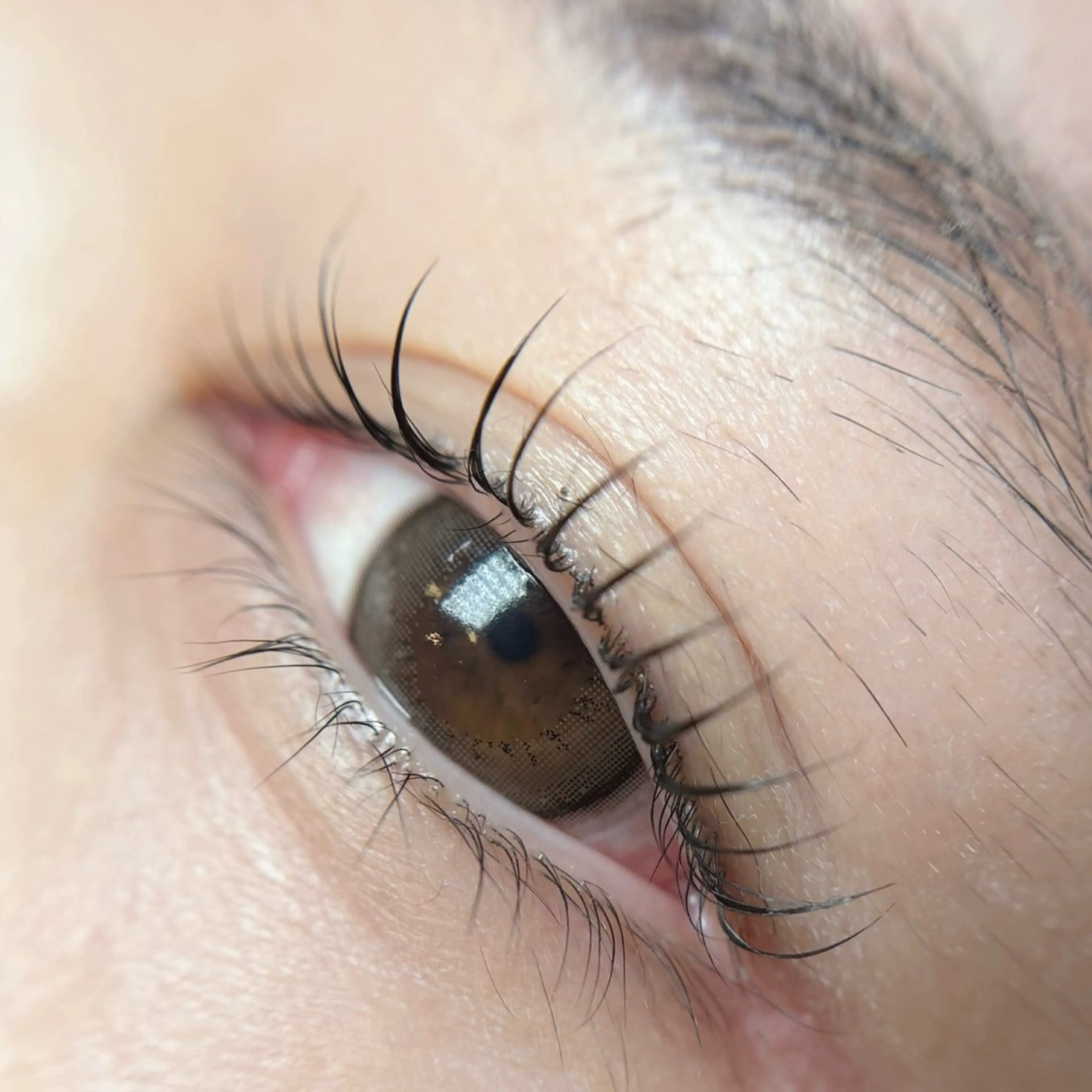 マツエク・マツパ Maeve メイのマツエク・マツパデザイン