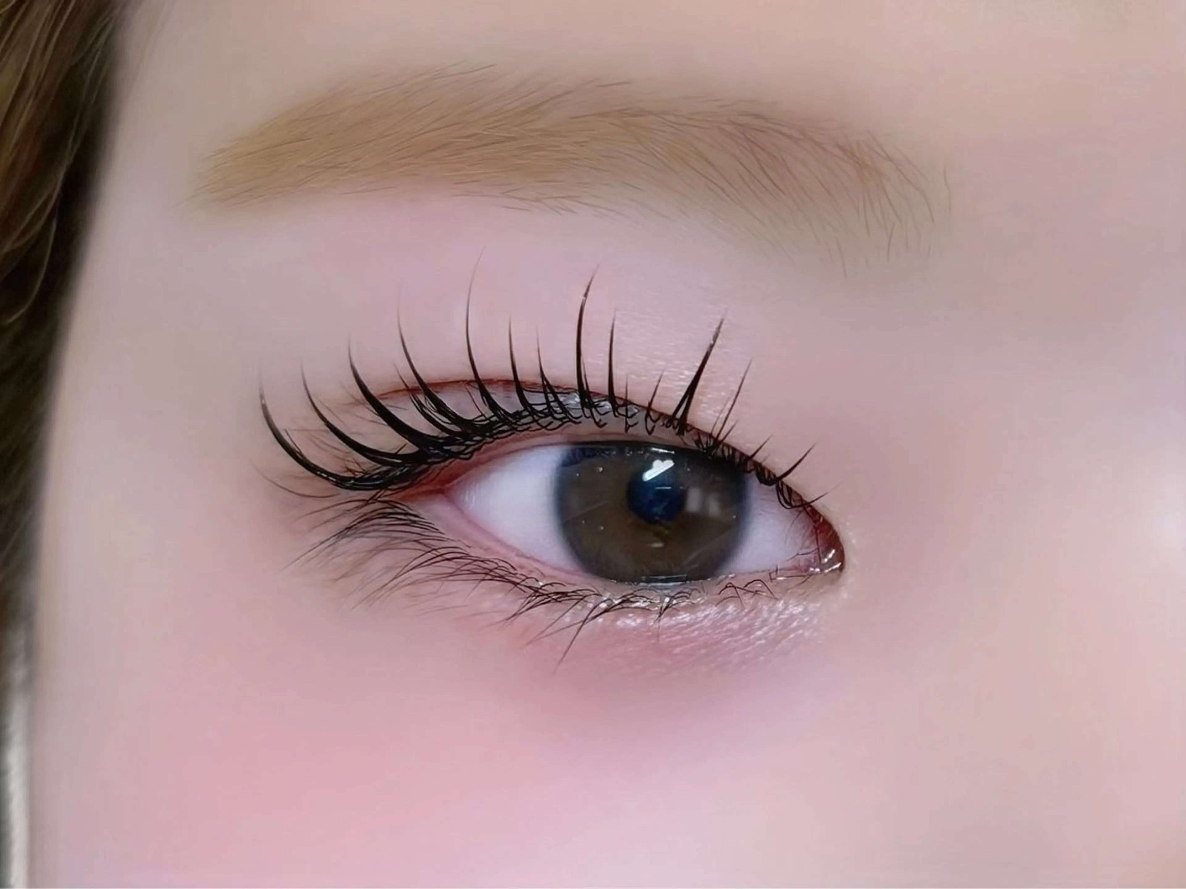 ✨️大人気✨️【ご新規様】ラッシュリフトorパリジェンヌ 上のみの写真