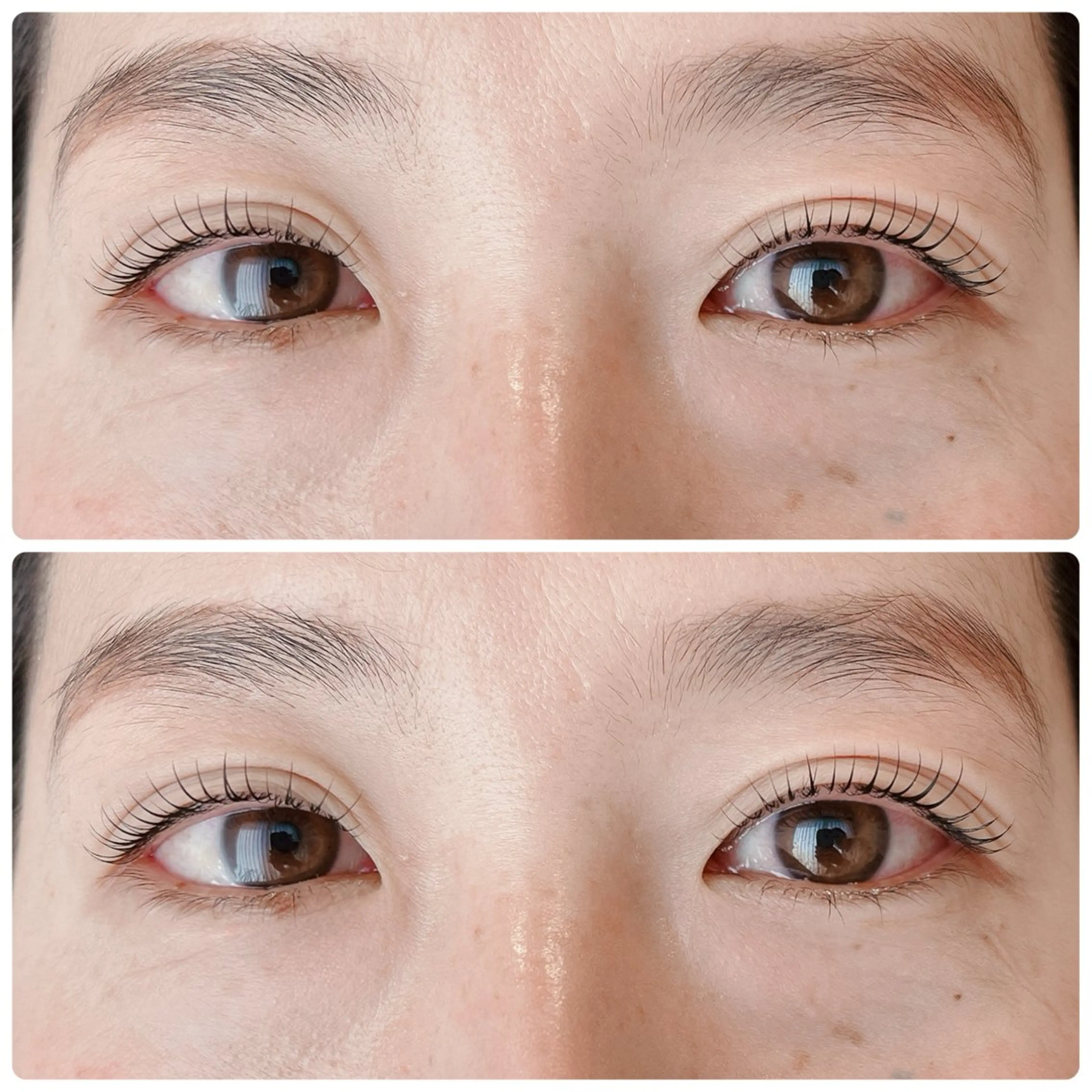 マツエク・マツパ まつげパーマ 渋谷 志保の眉毛・アイブロウイメージ