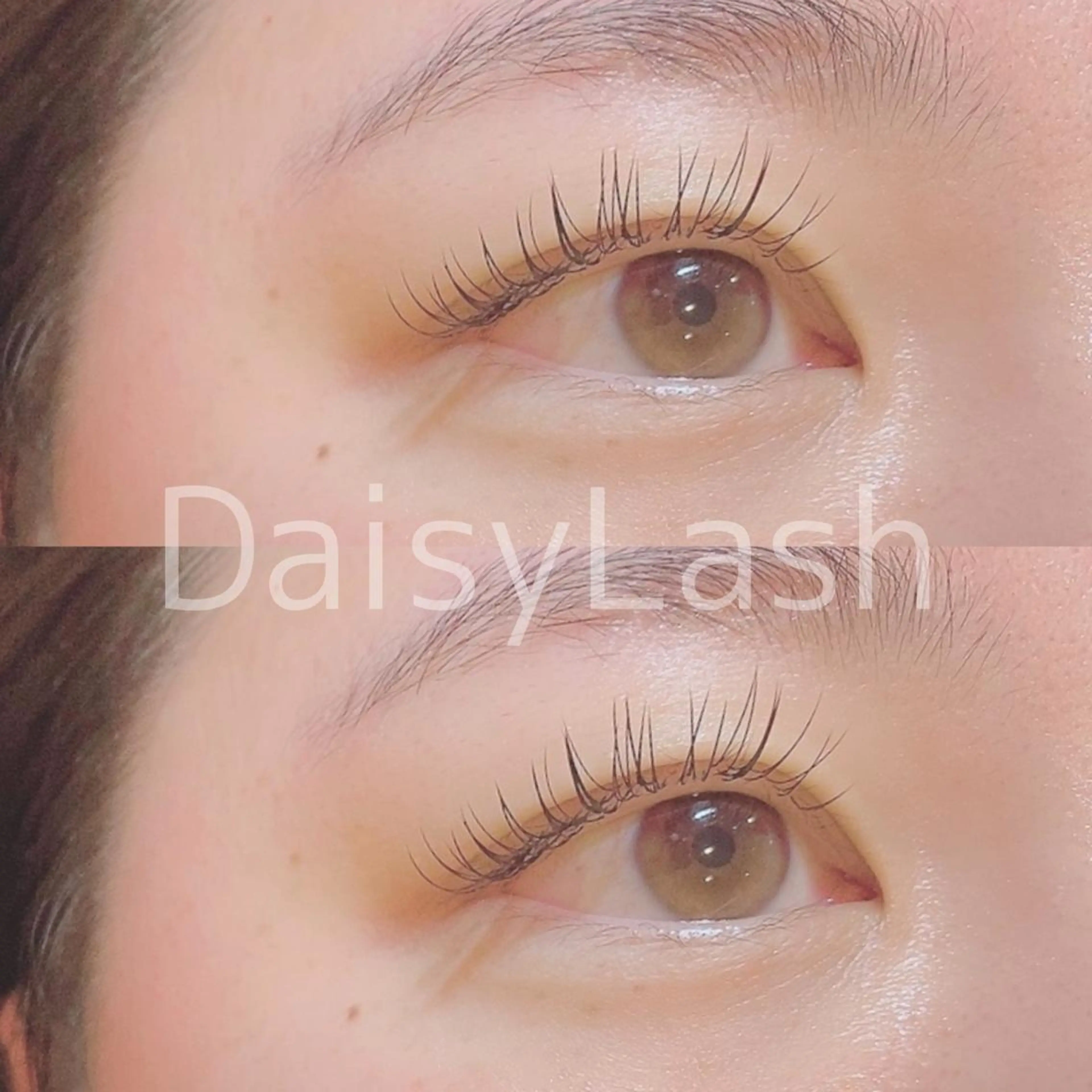 マツエク・マツパ DaisyLash 京橋店のマツエク・マツパデザイン