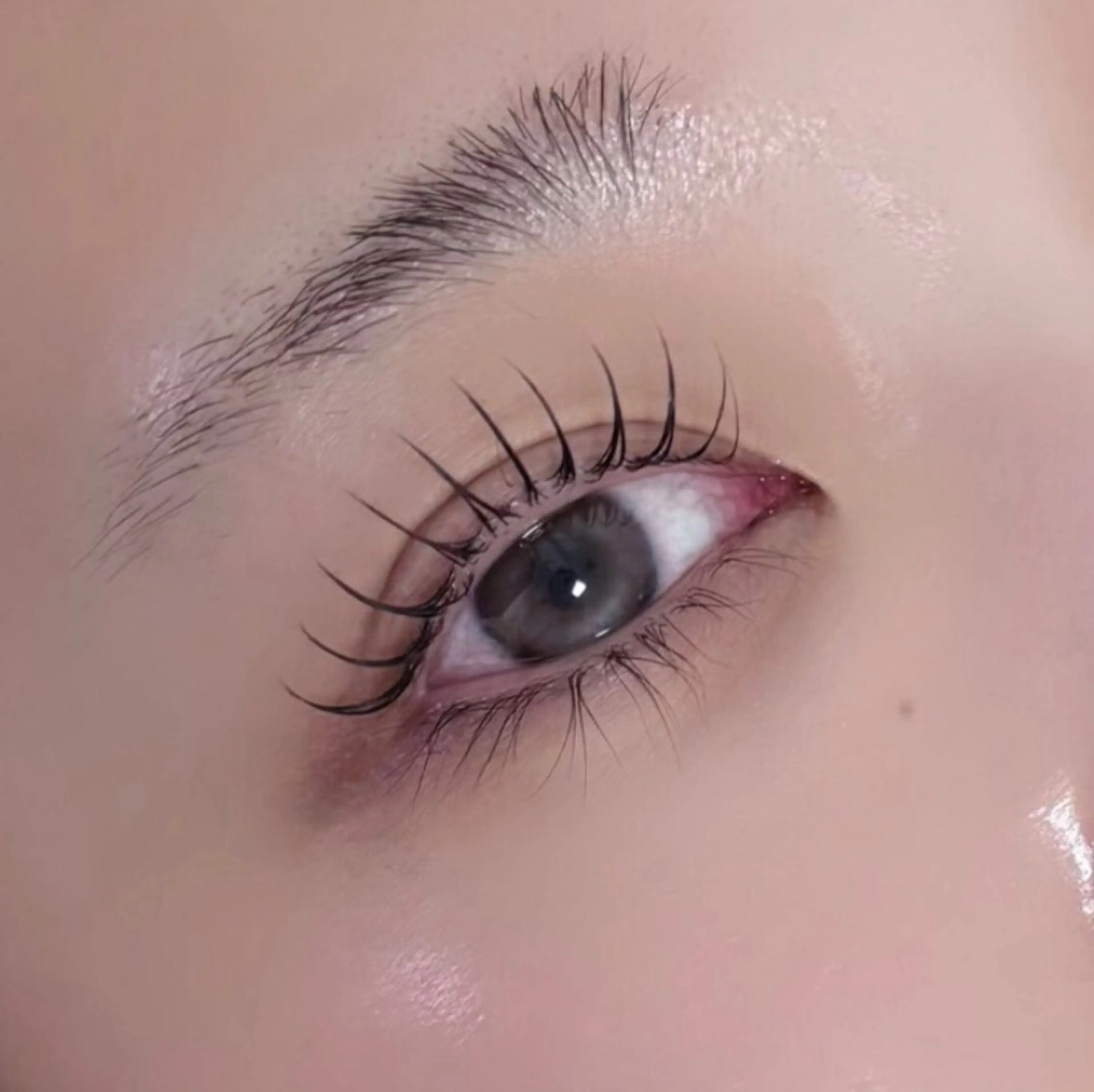 マツエク・マツパ YIN 🤍のマツエク・マツパデザイン